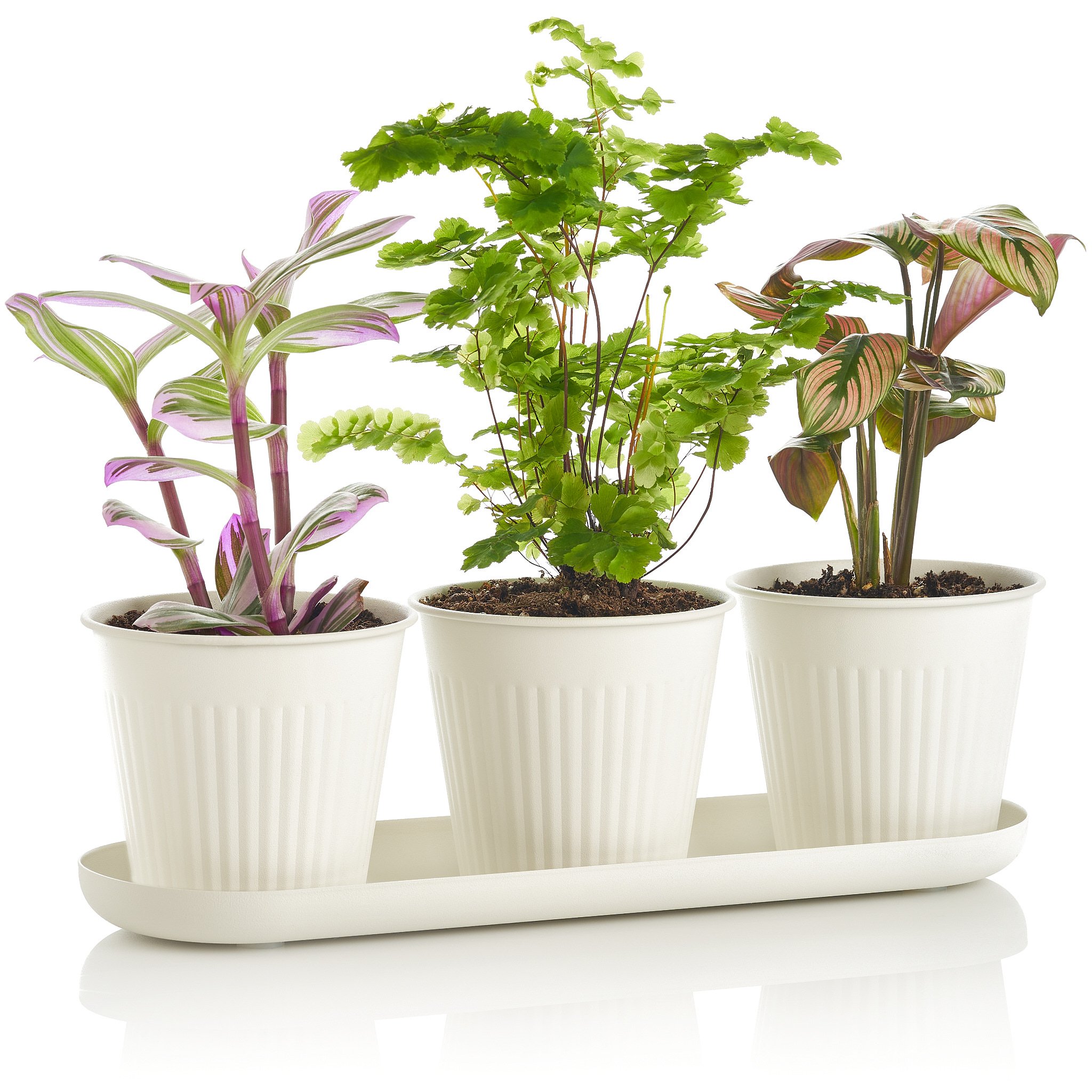 stance creative_calgary product photographer_ 45.jpg