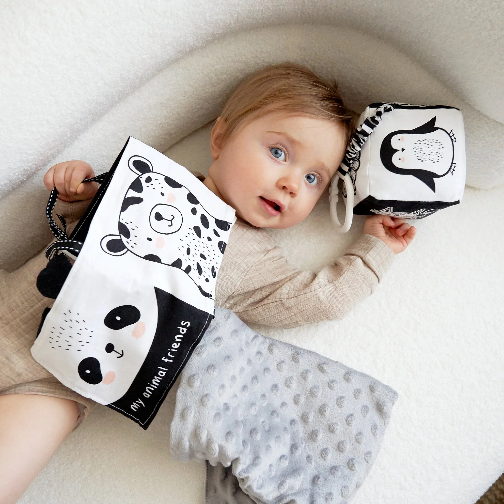 stance creative_calgary product photographer_ 136.jpg