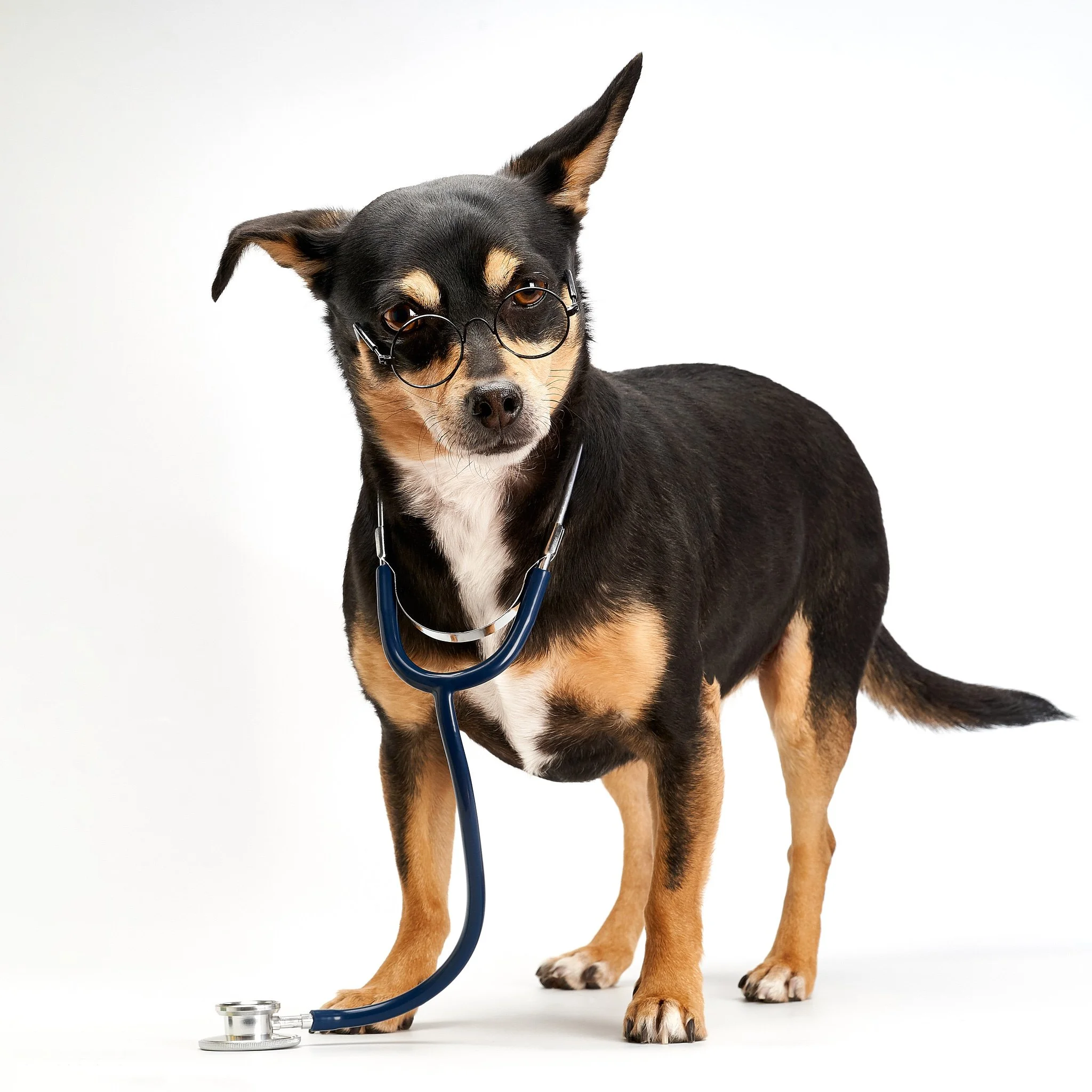 stance creative_calgary product photographer_ 111.jpg