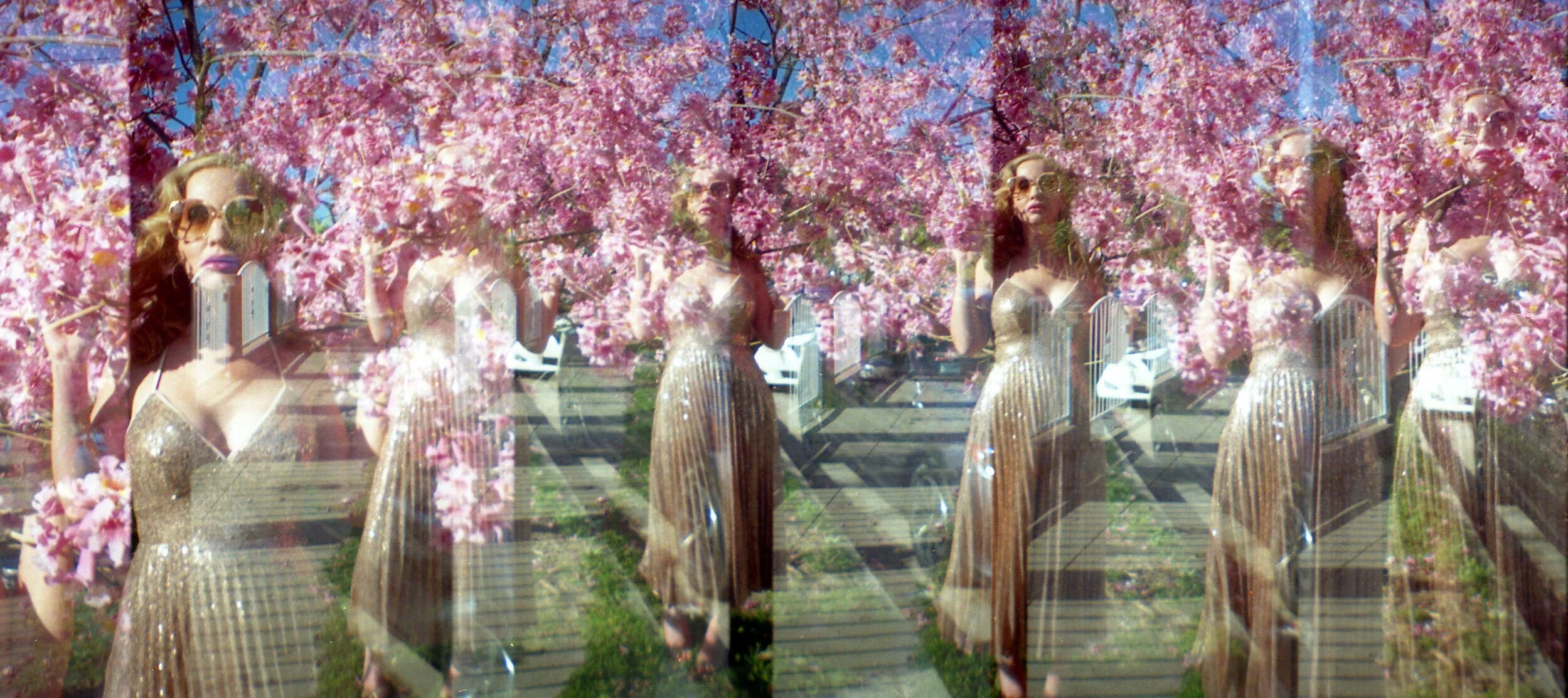 img273+copy3.jpg