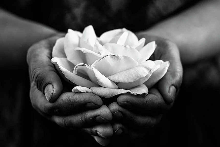 Photo: Vishwanath Bhat