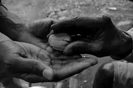 Kola Nut photo: Max Pixel
