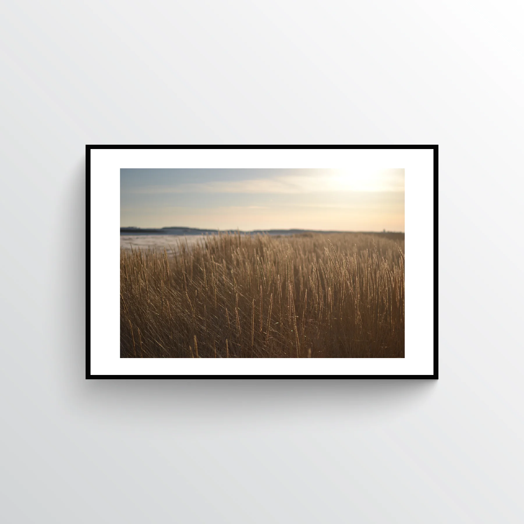 Winter Dunes