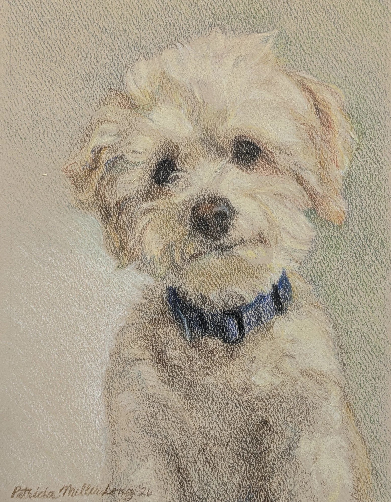 Portrait of Butter.jpg