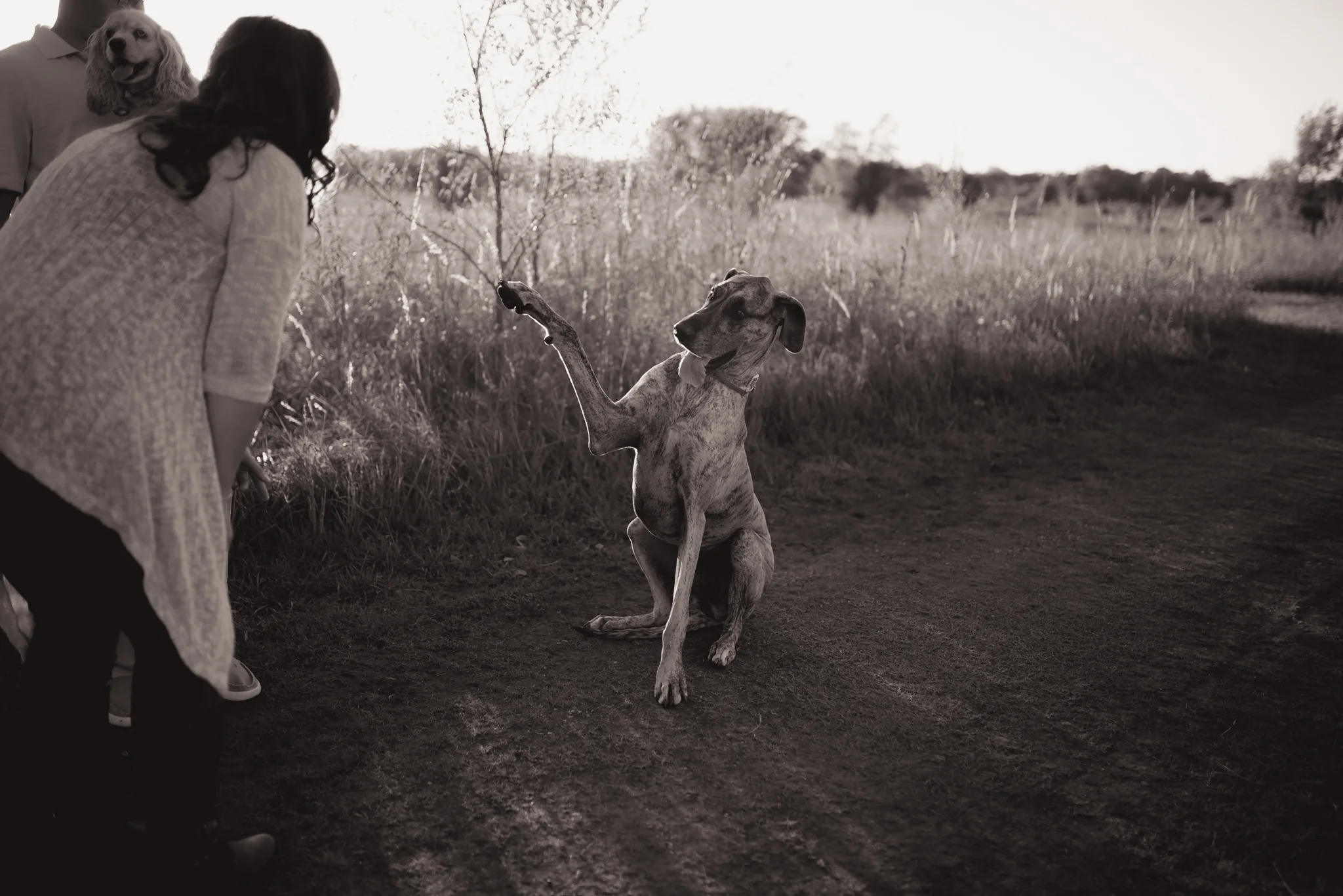 pueblomaternityphotographer