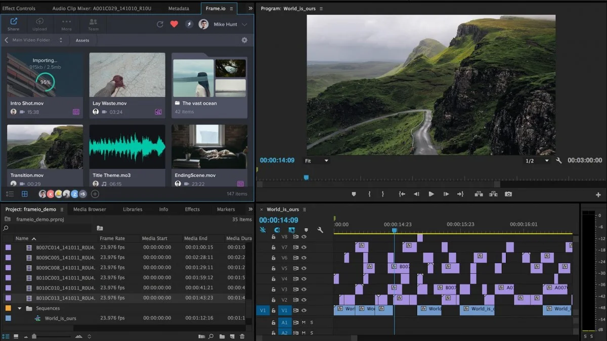 frame.io_premiere_pro_timeline.jpg