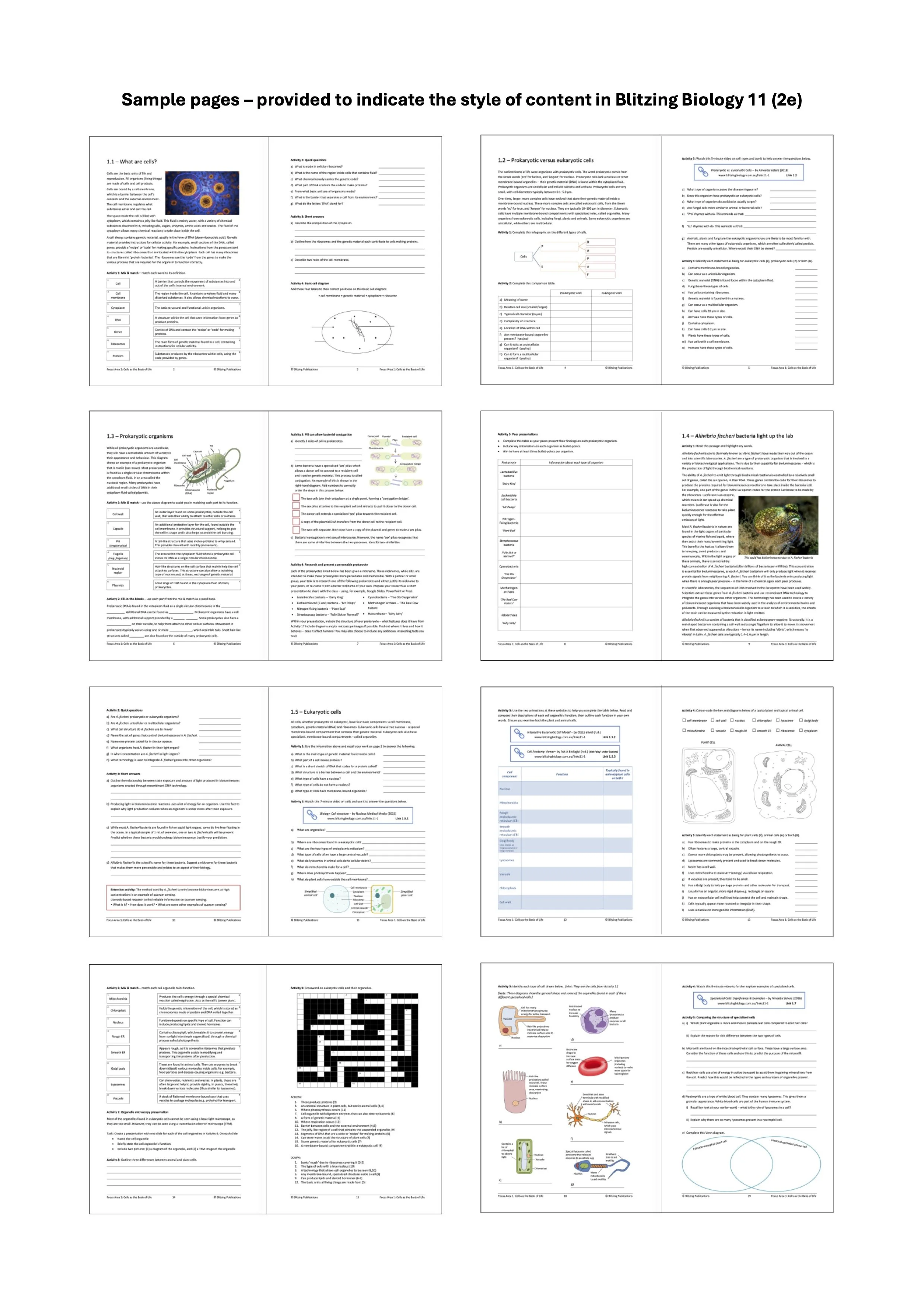 BB11.2e sample pages.jpg