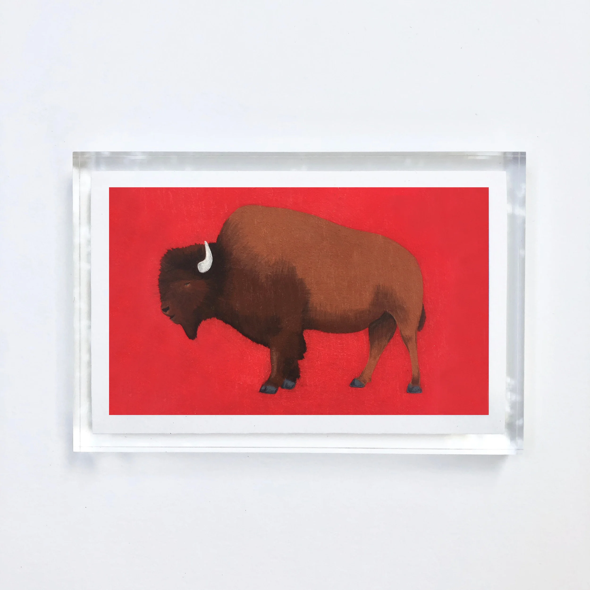 buffalo_acrylic.jpg