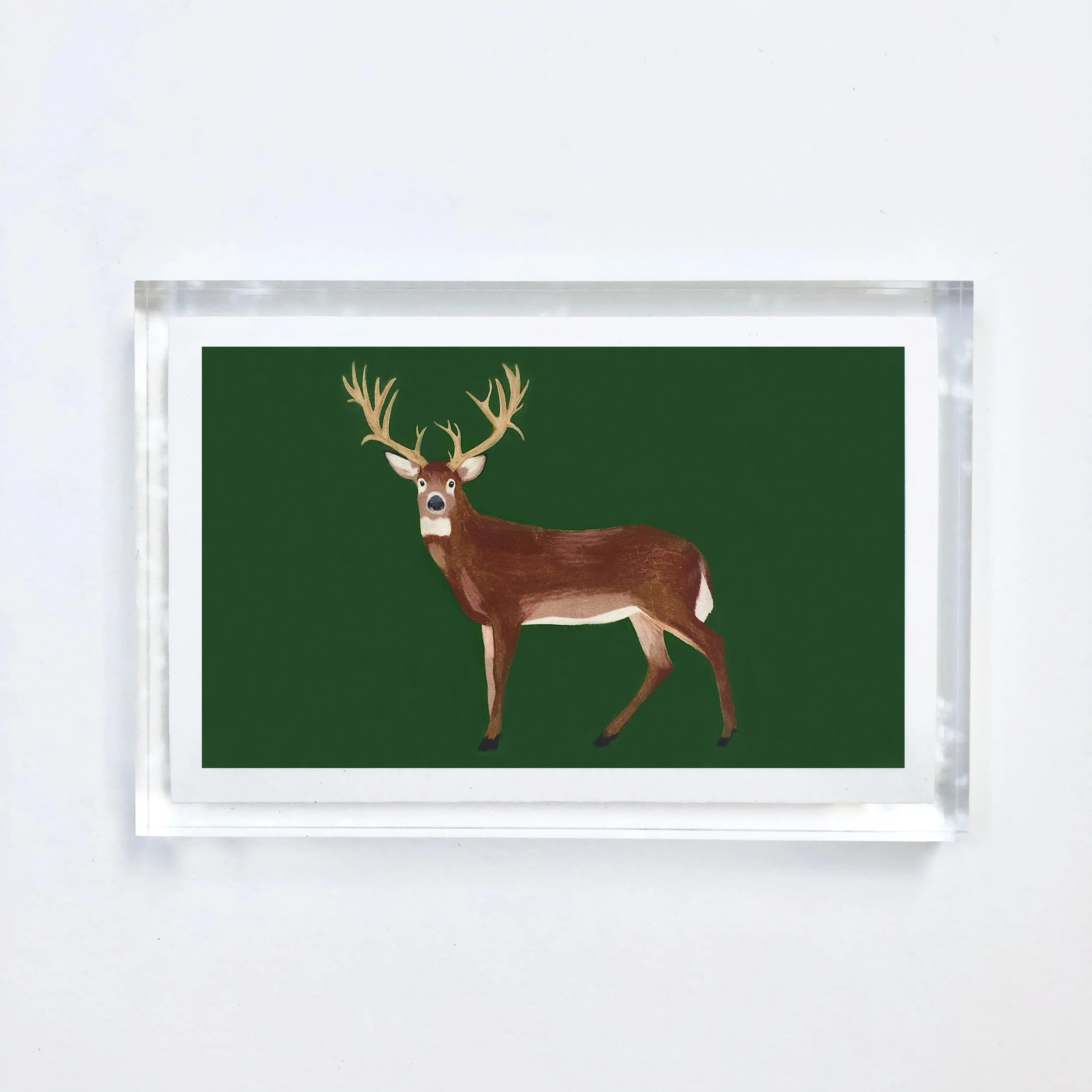 deer_acrylic.jpg