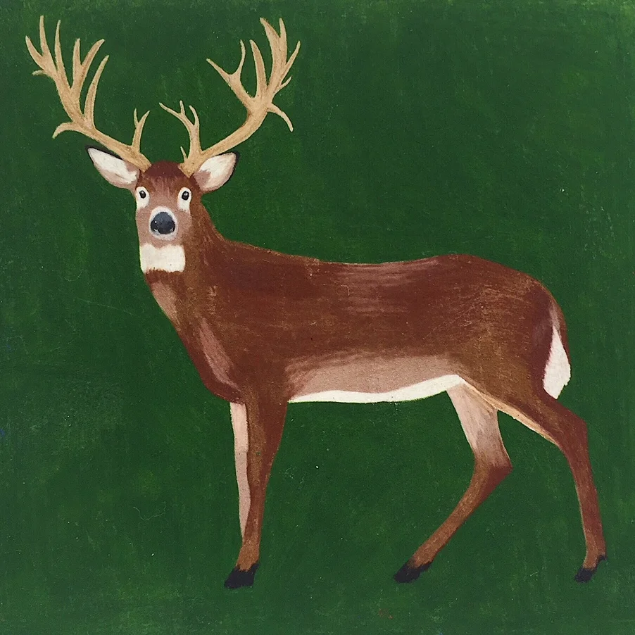 deer.jpg