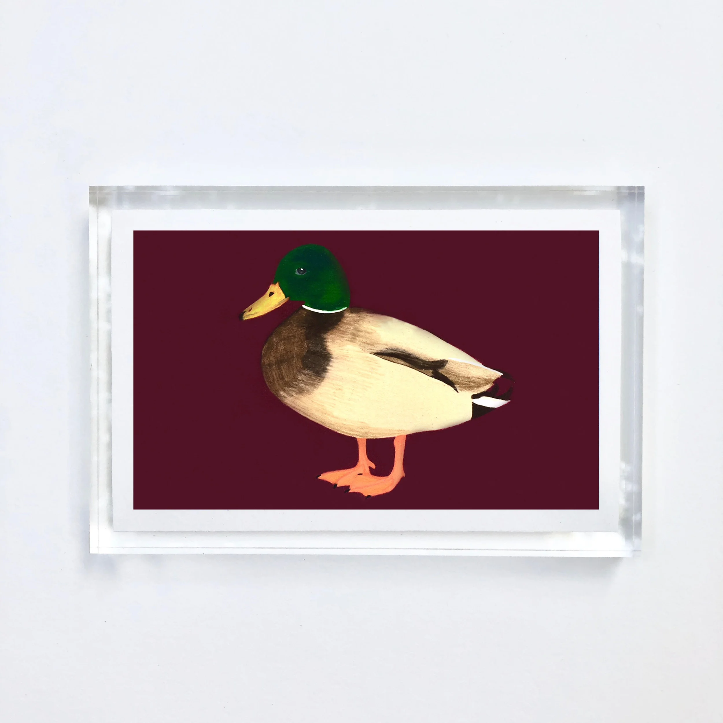 duck_acrylic.jpg