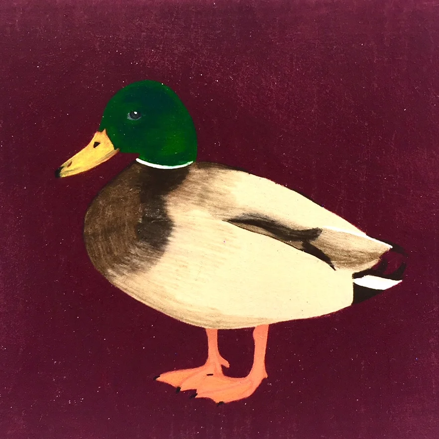 duck.jpg