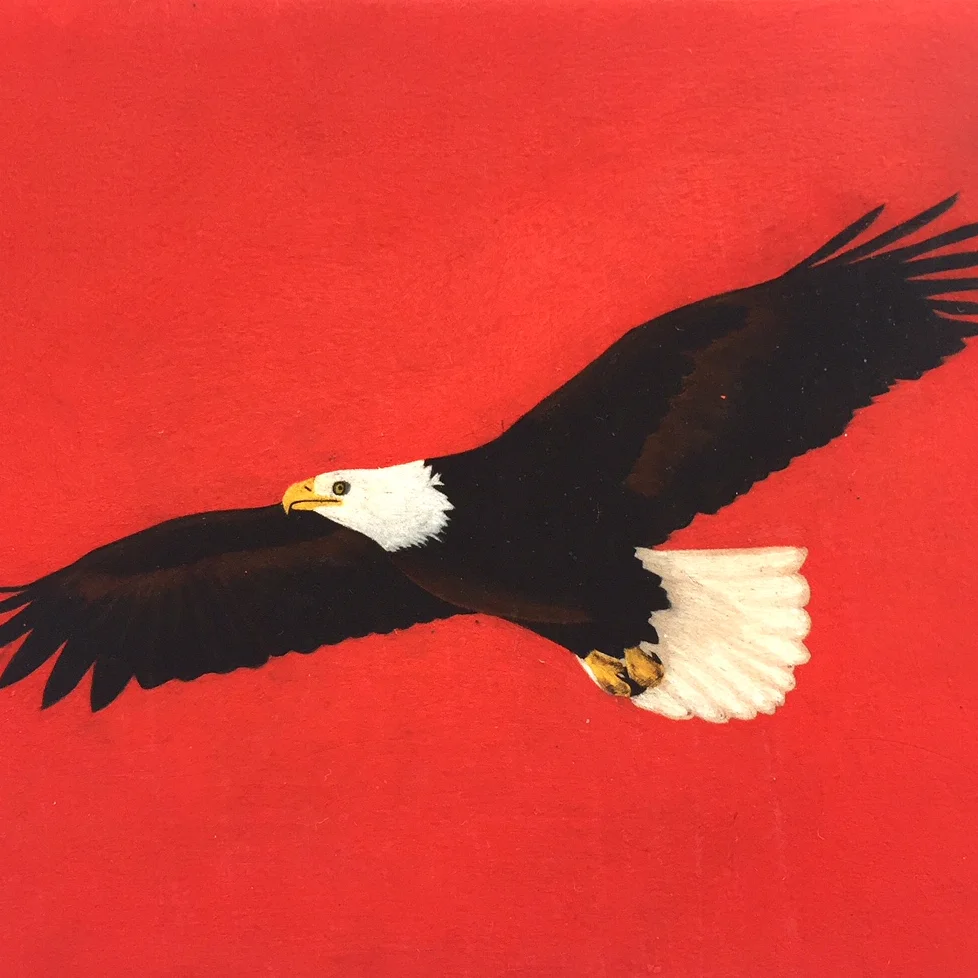 eagle.jpg