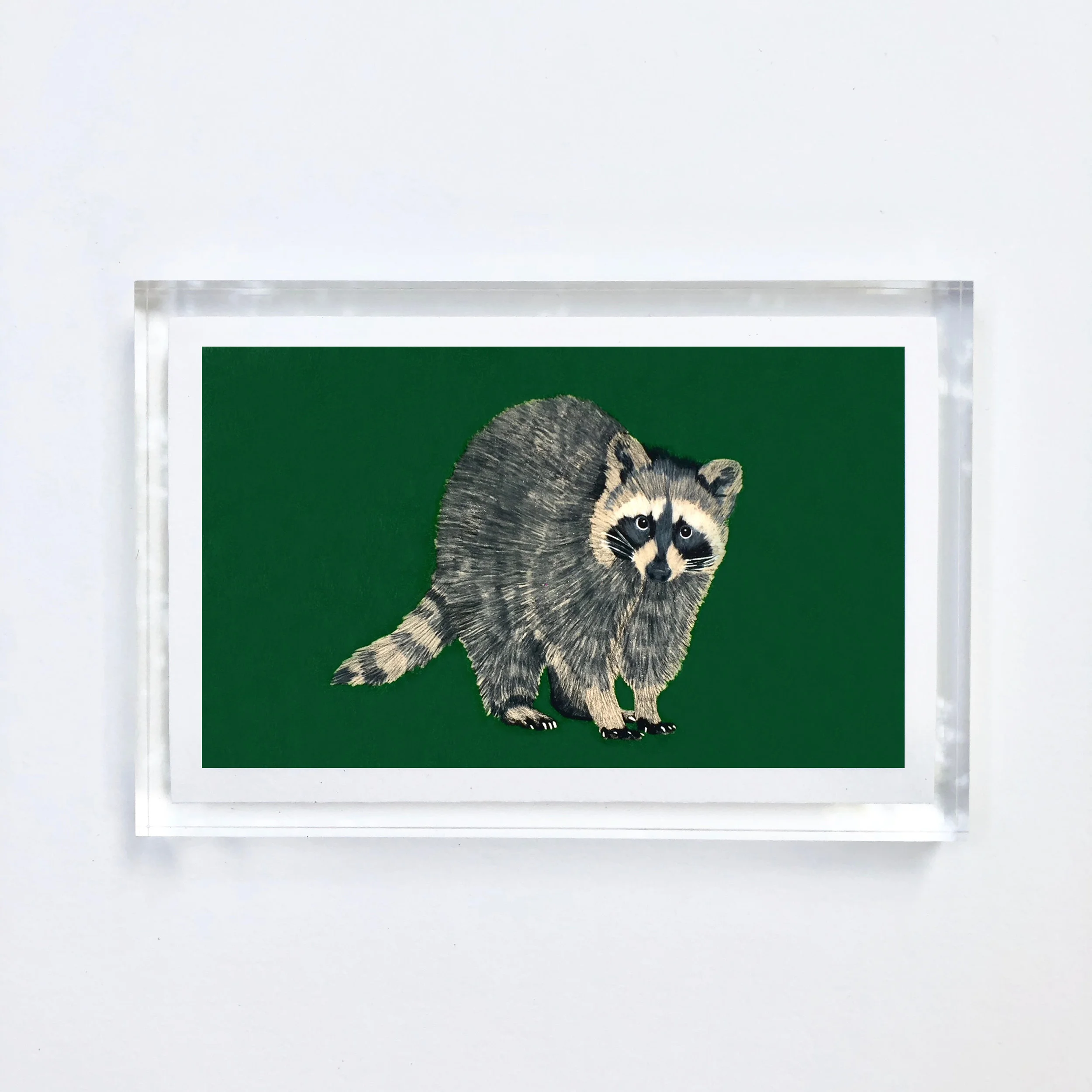 raccoon_acrylic.jpg
