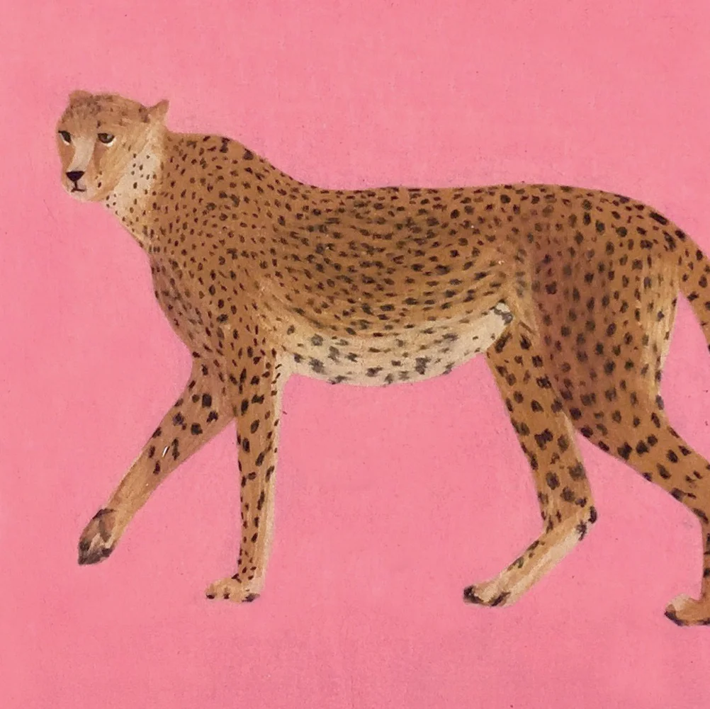 cheetah_crop.jpg