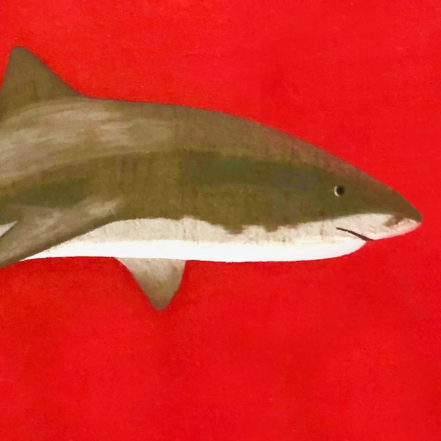 shark_crop.jpg