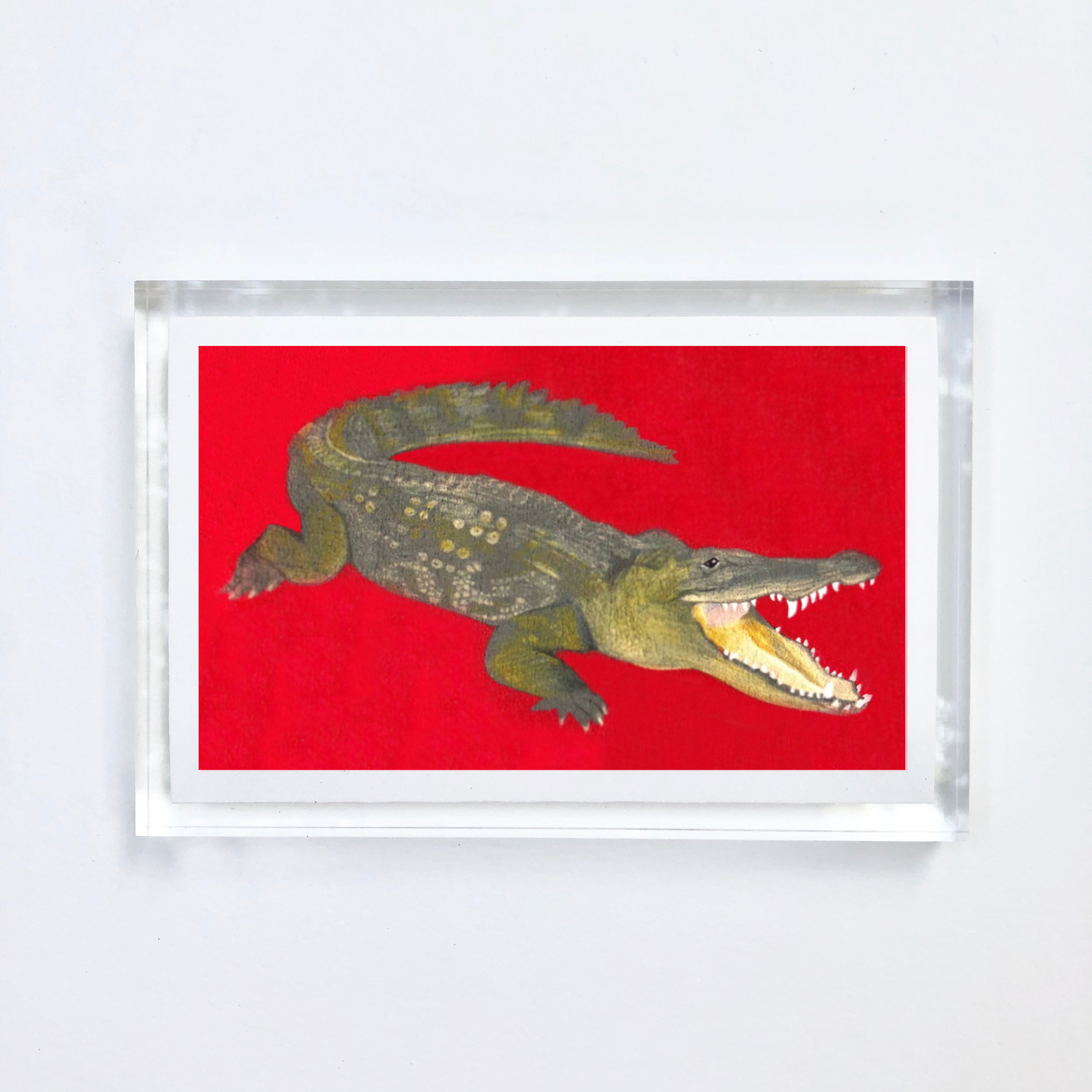 alligator_acrylic.jpg