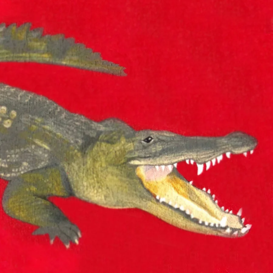 alligator_crop.jpg