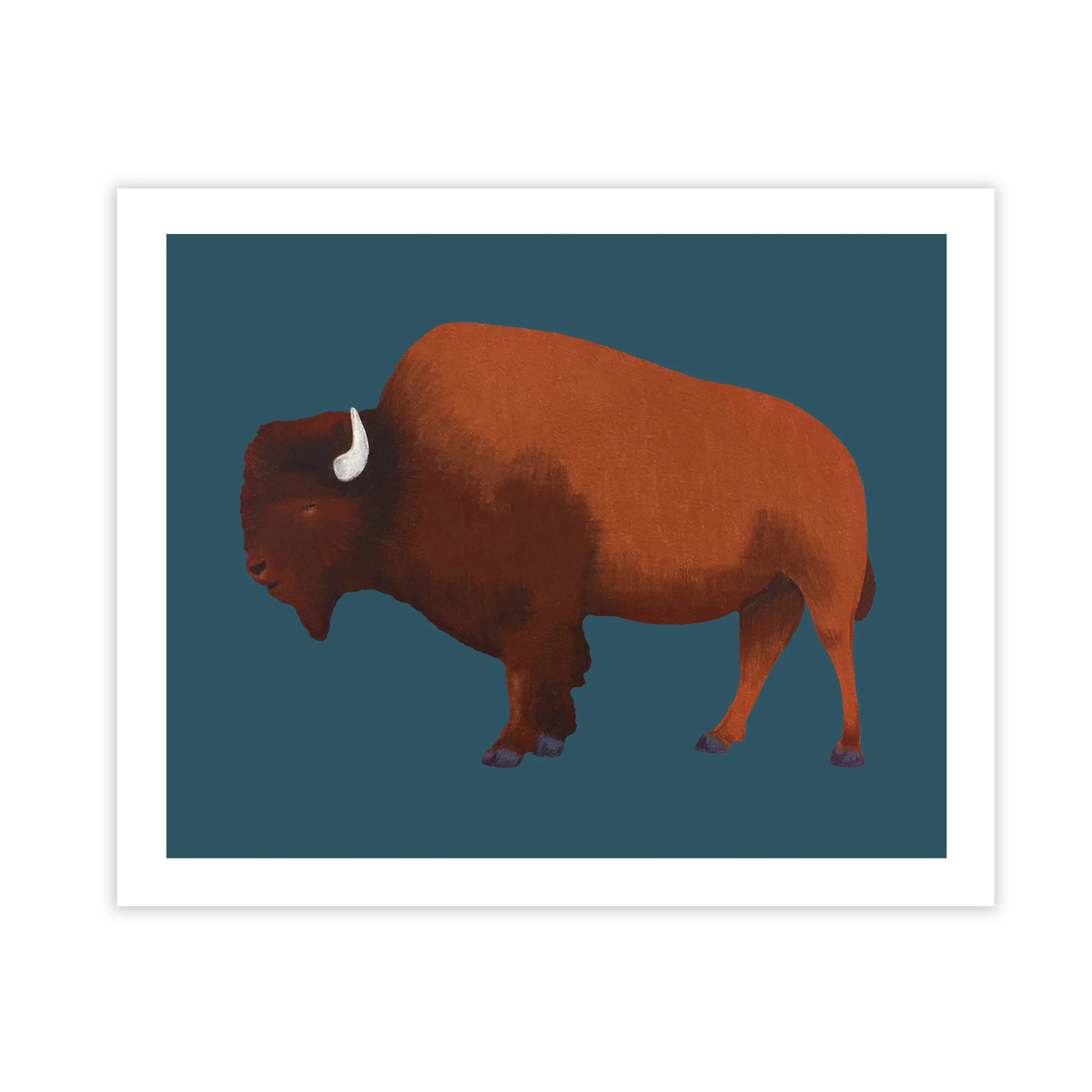 buffaloprint.jpg