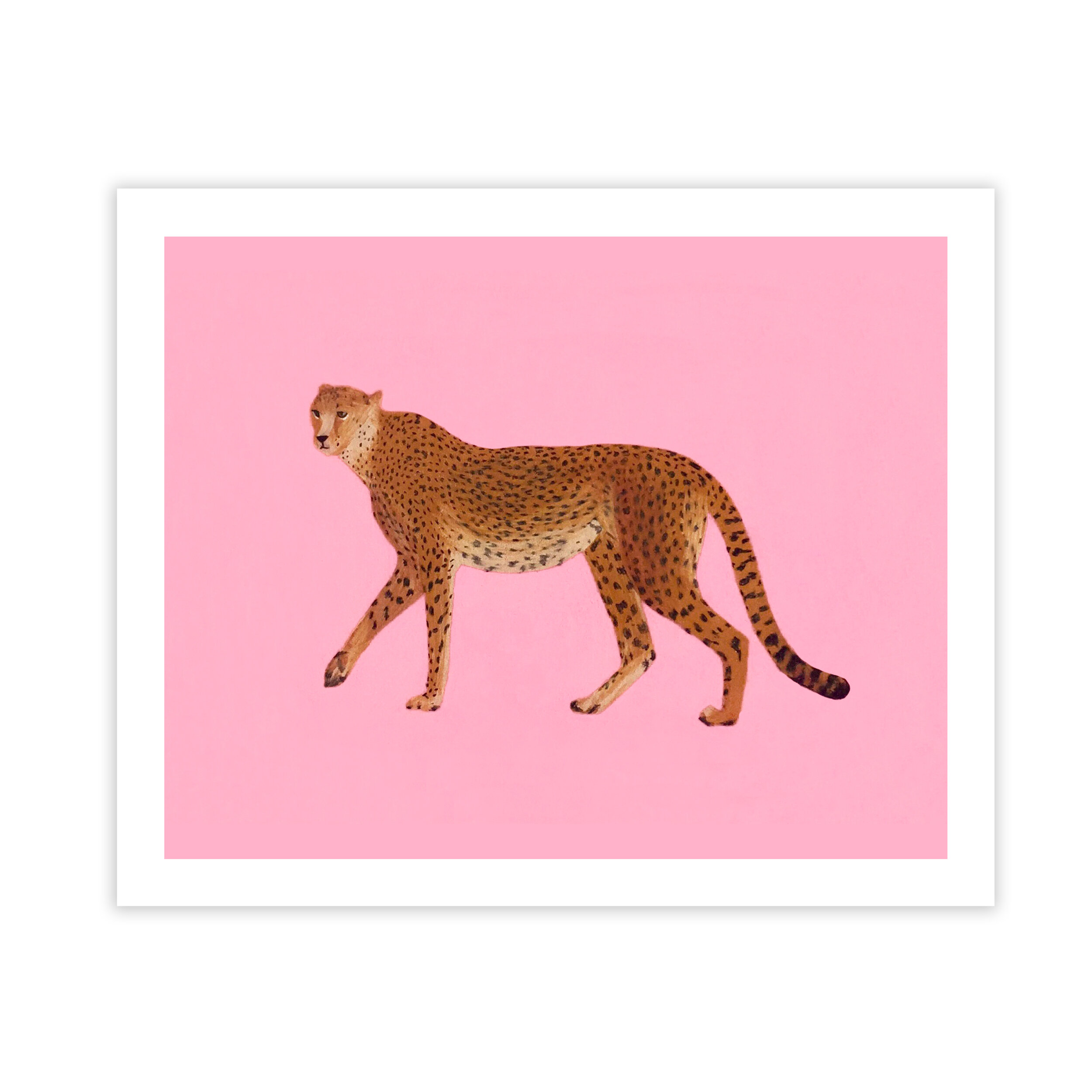 cheetahprint.jpg