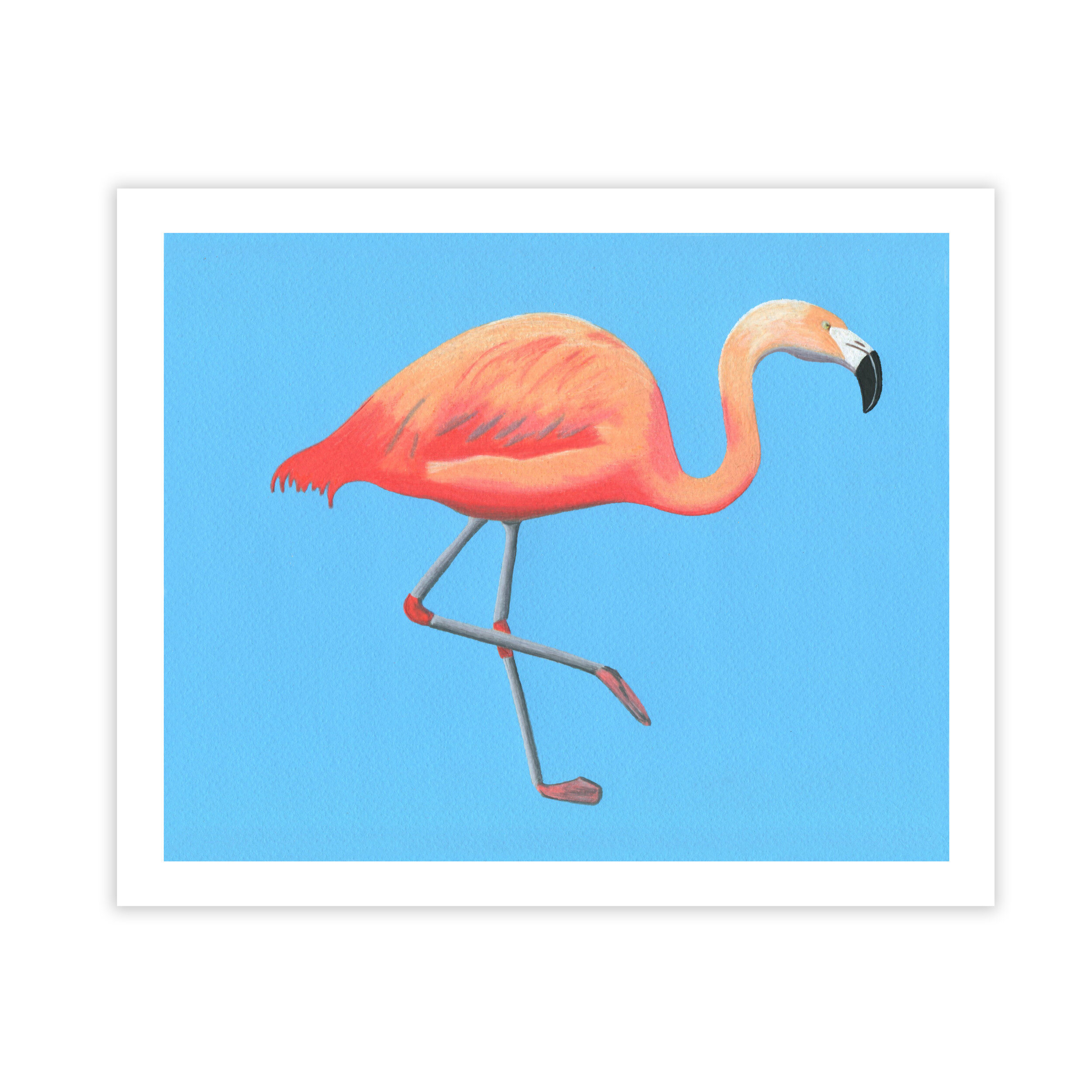 flamingoprint.jpg