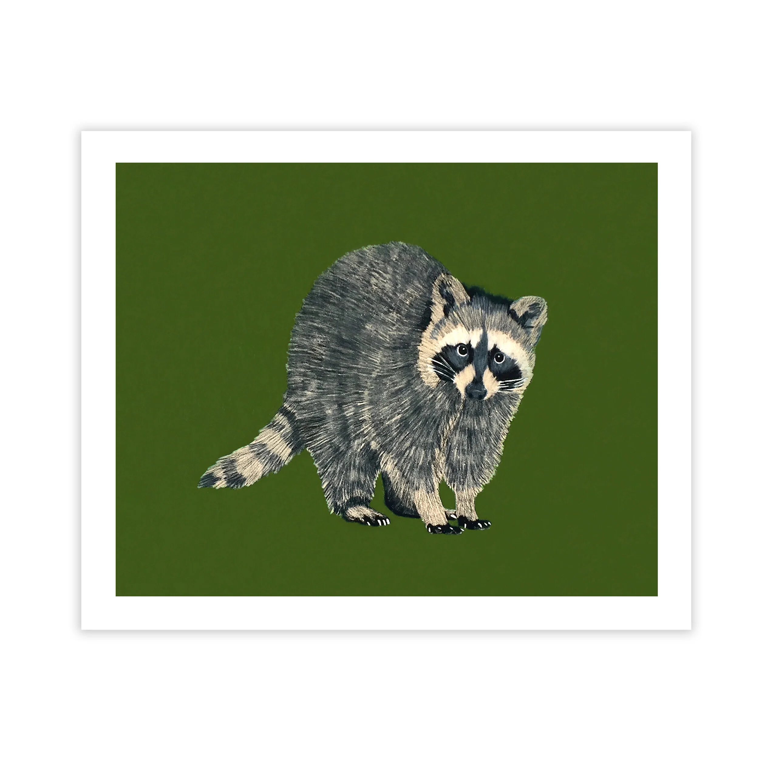 raccoonprint.jpg