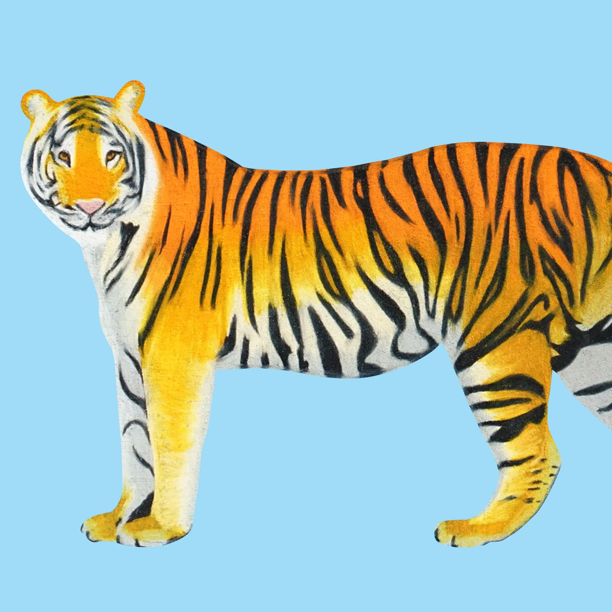 tigercrop.jpg