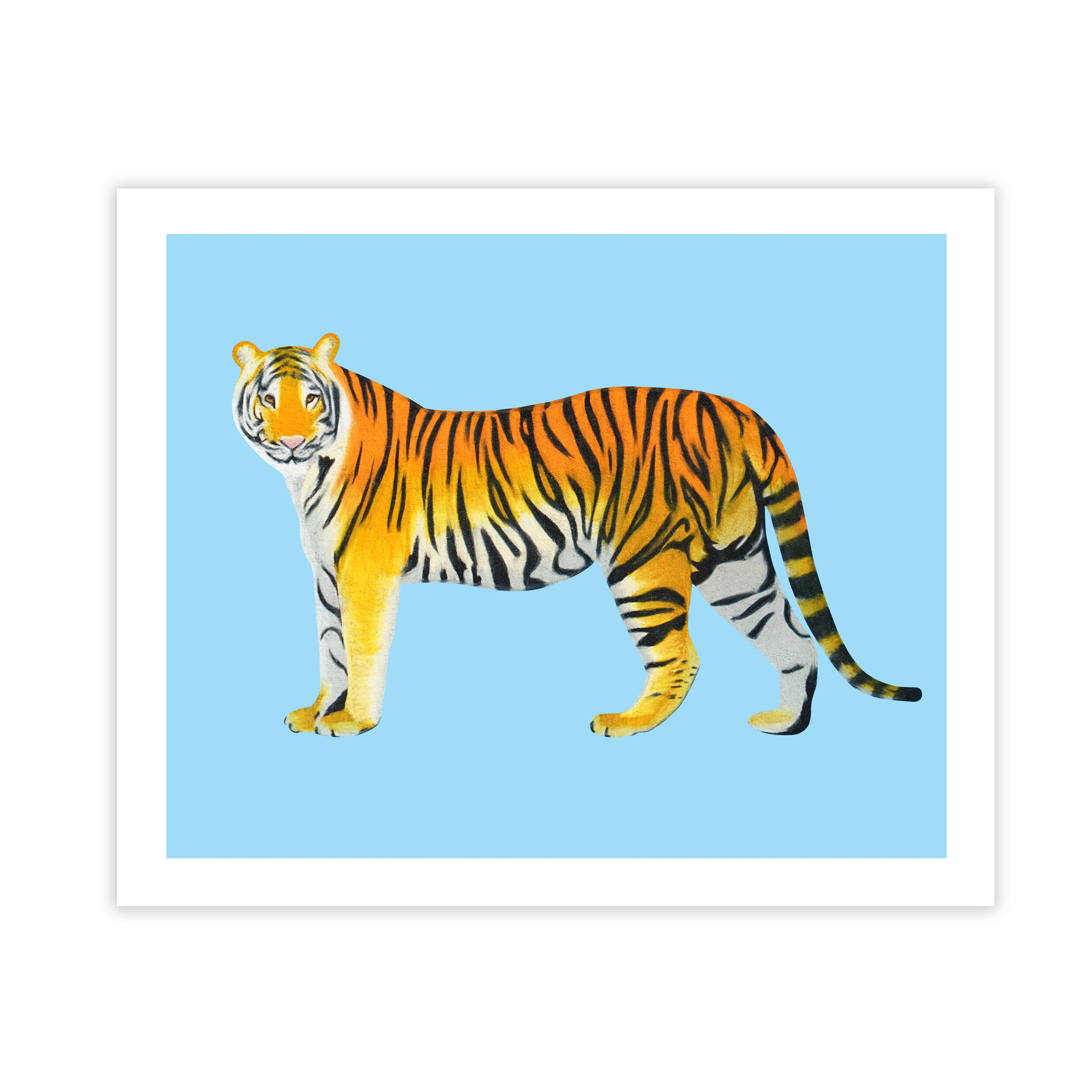 tigerprint.jpg