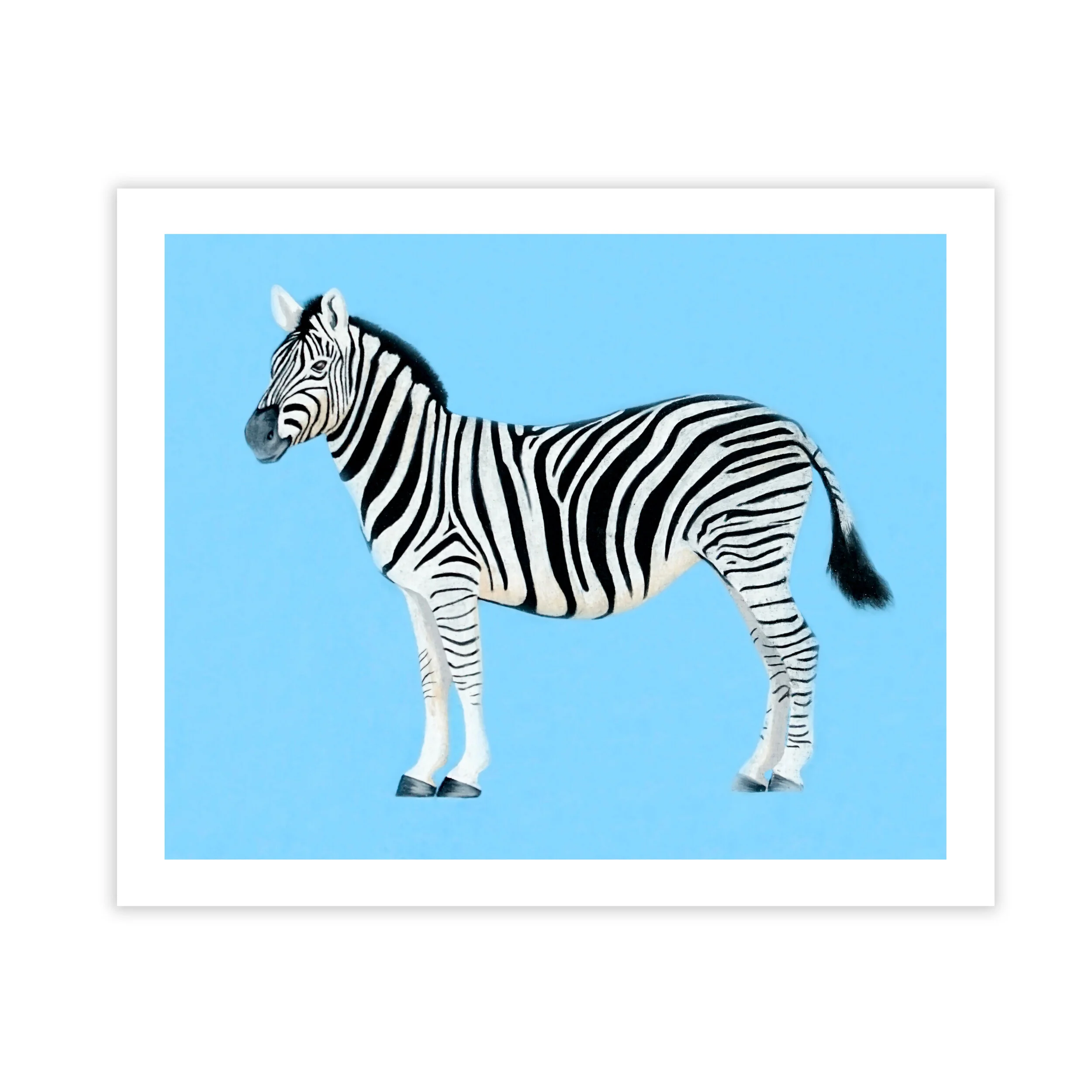 zebraprint.jpg