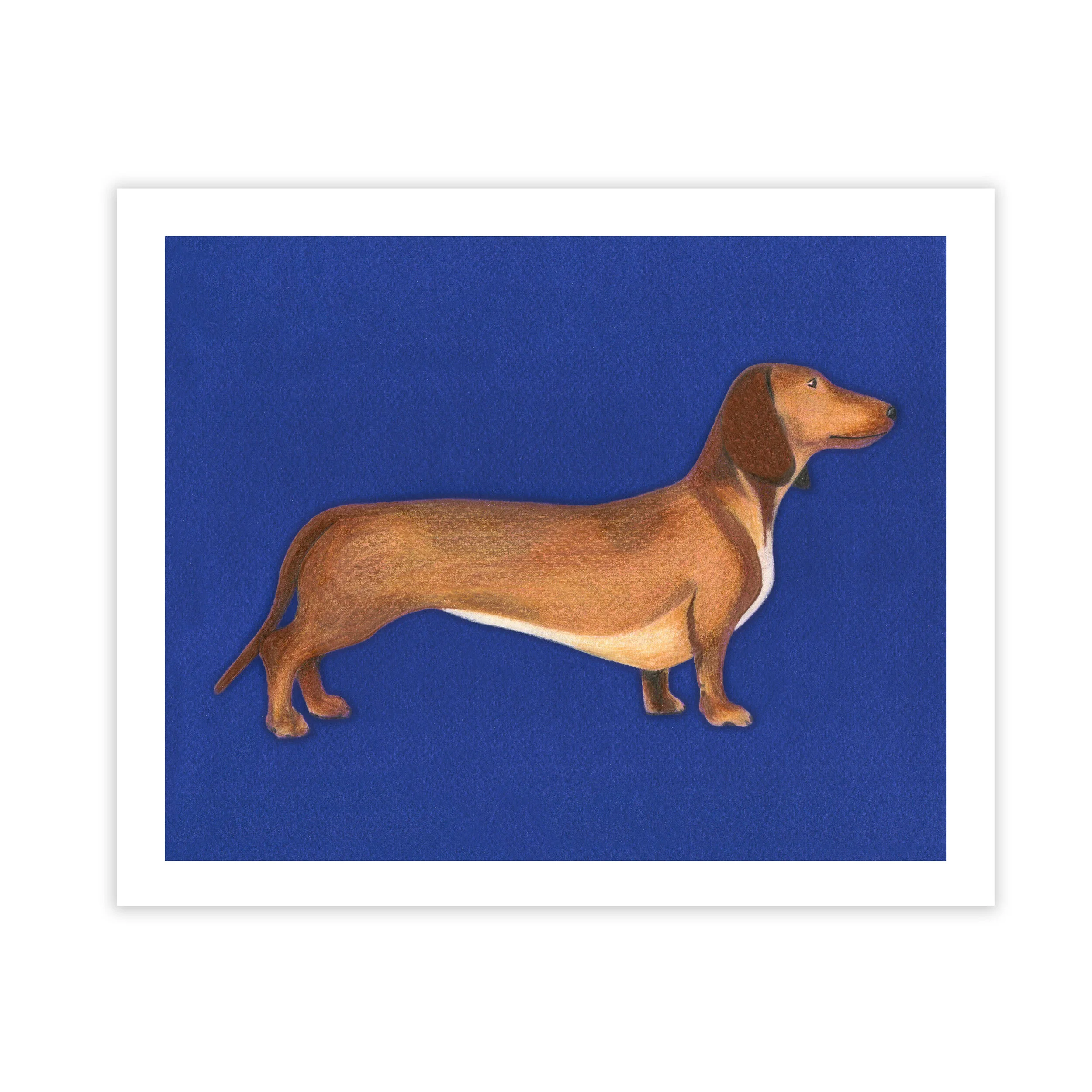 DACHSHUNDprint.jpg