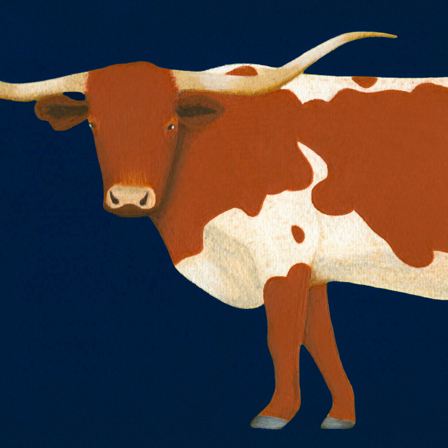 longhorn_crop.jpg