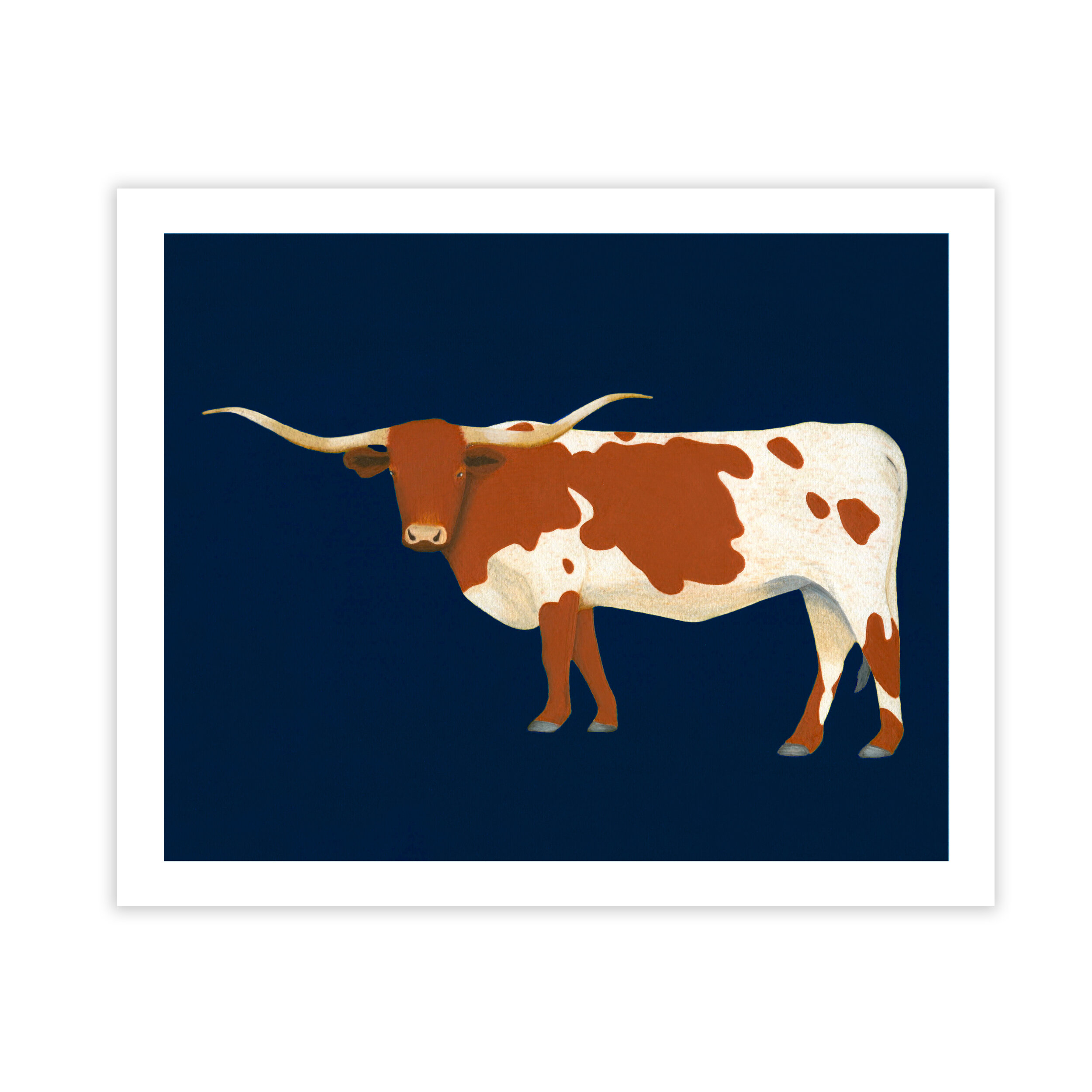 longhorn.jpg