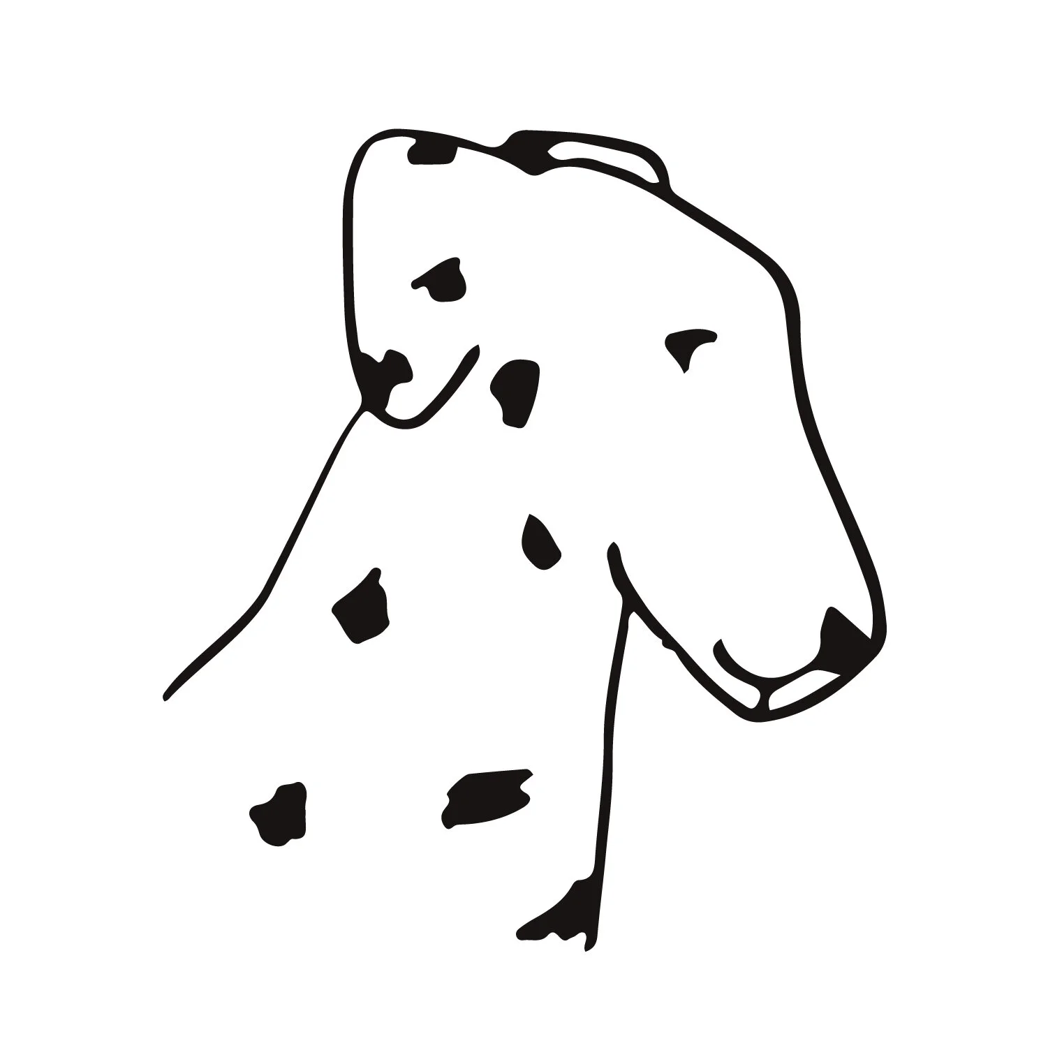 dalmatians_crop-03.jpg