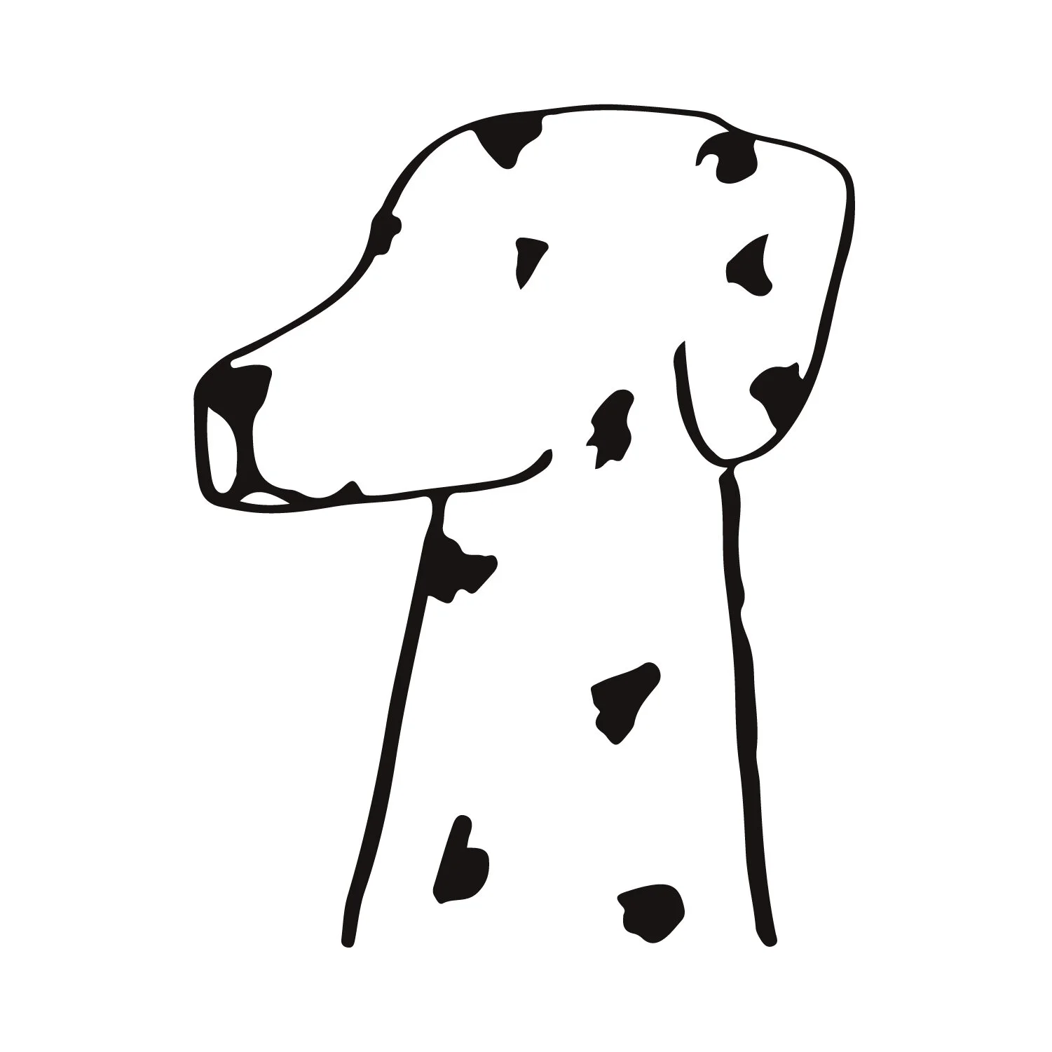 dalmatians_crop-04.jpg