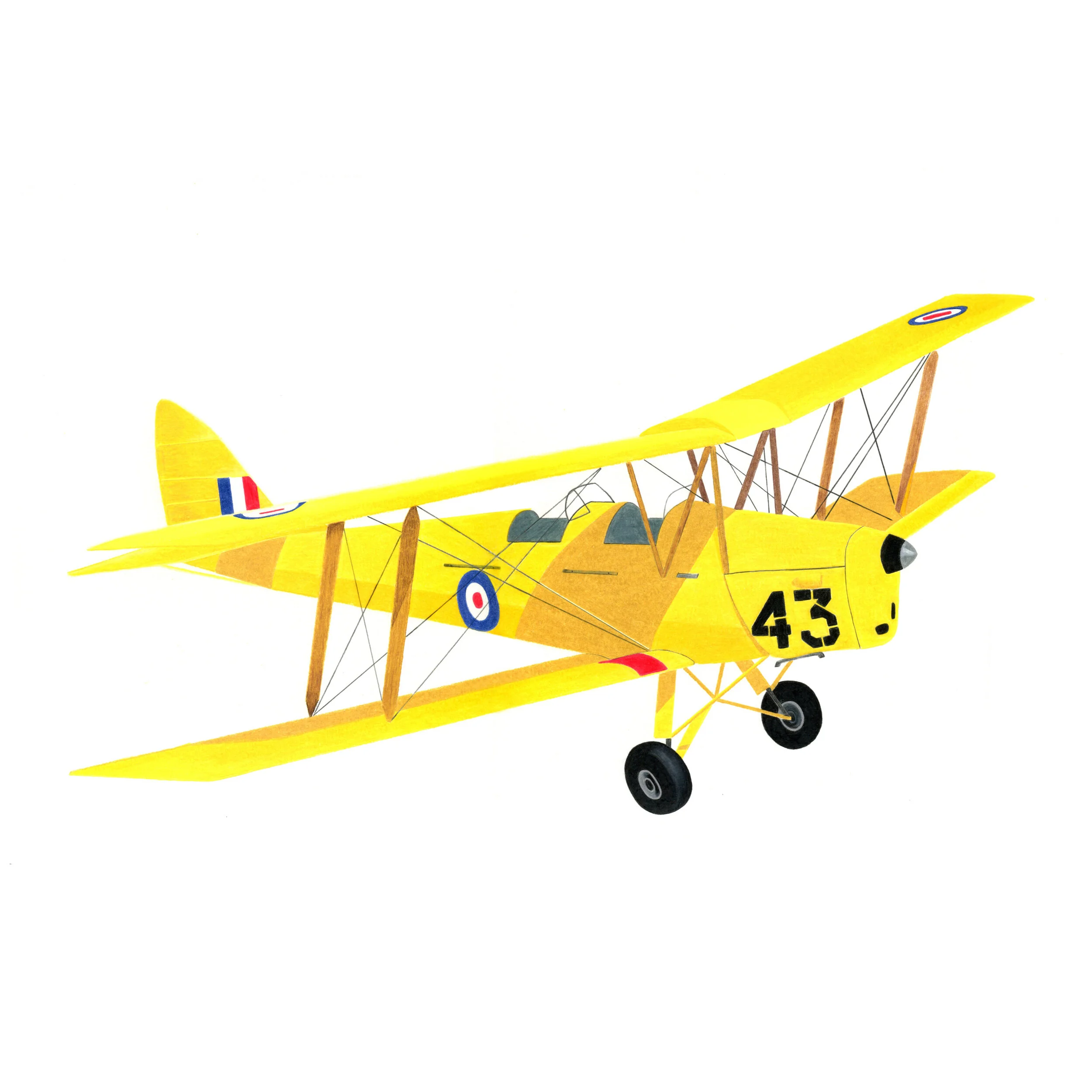 yellow_airplane_insta.jpg