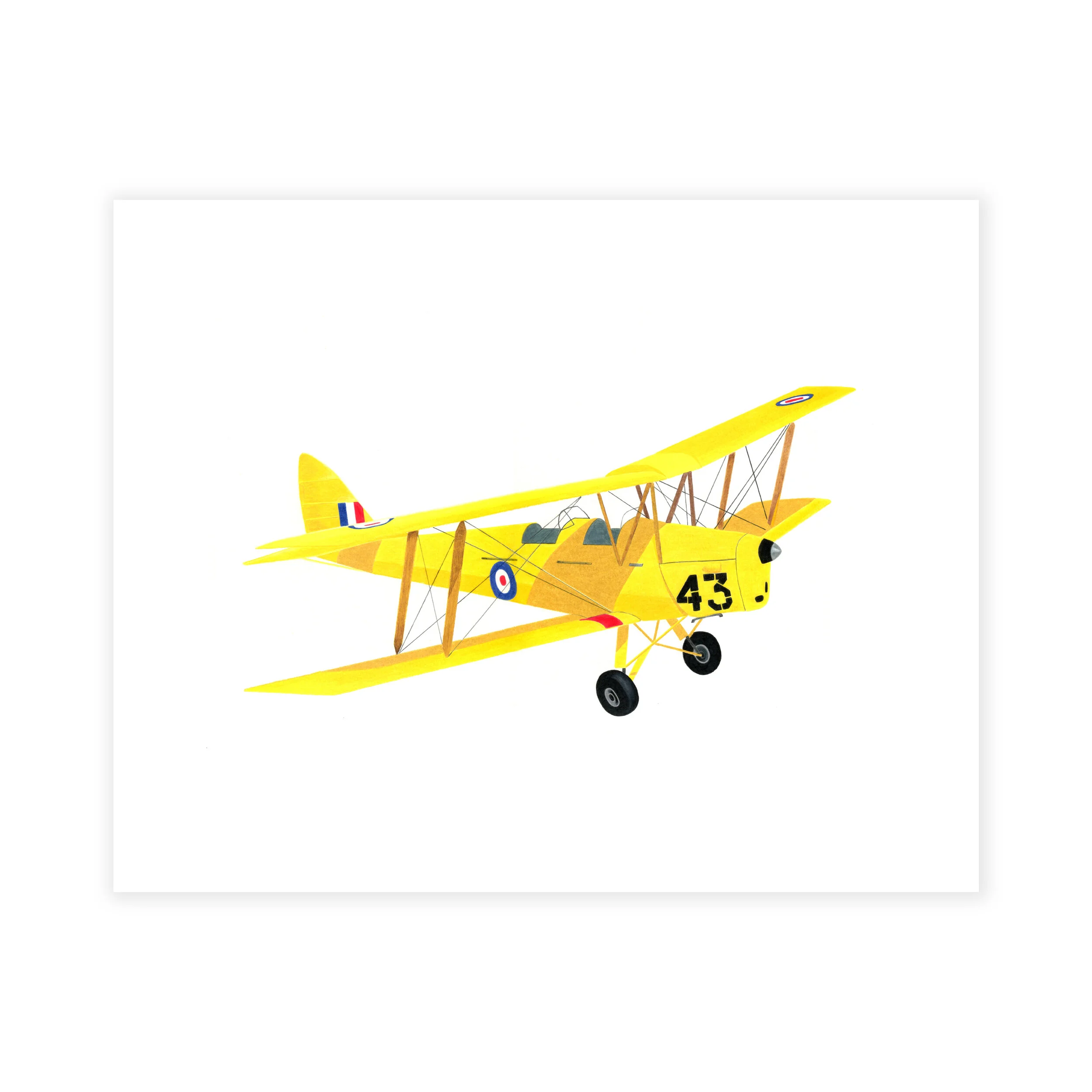 YELLOW.jpg