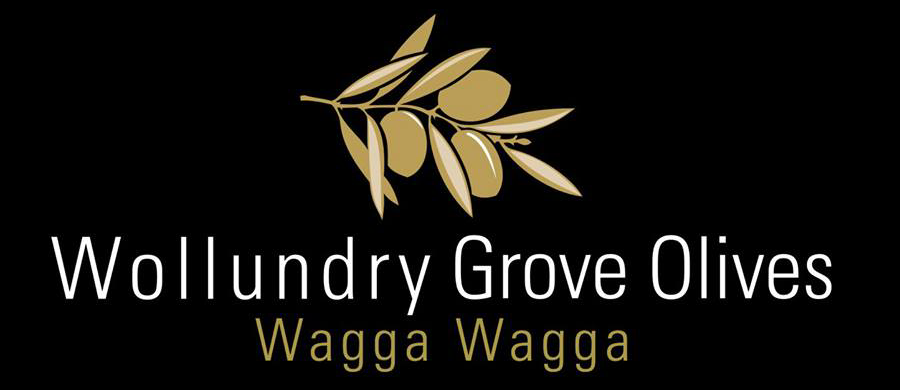 Web Logo-01.png