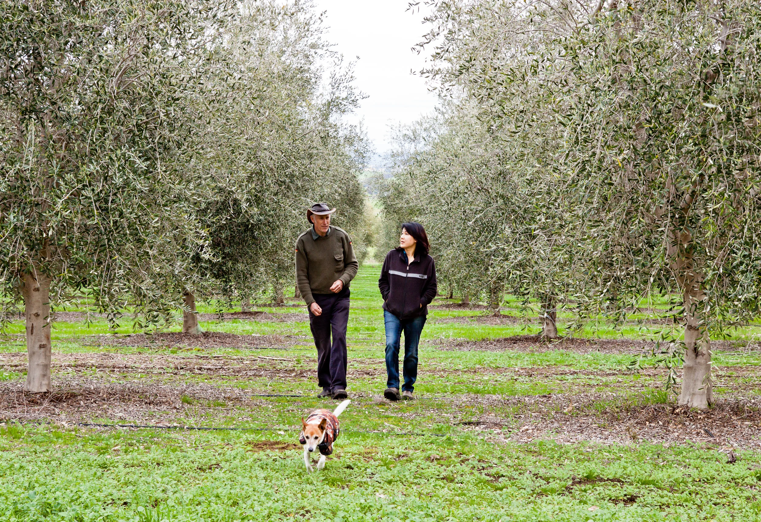Wollundry Grove HighRes JPEG-2.jpg
