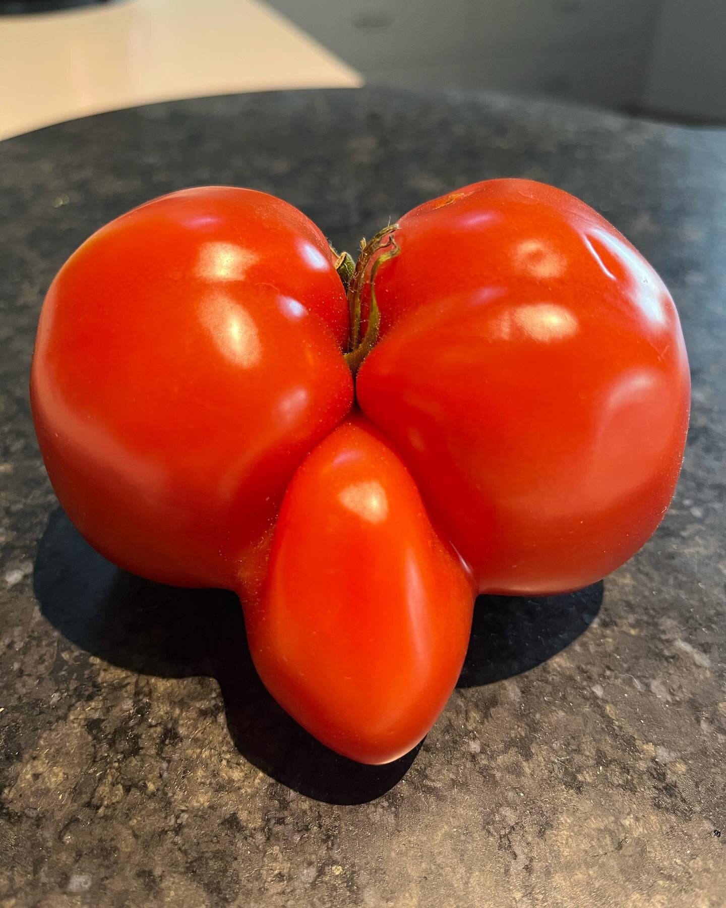 I didn&rsquo;t  know that tomatoes can come in shapes like this. What are you thinking? 🤭
Bought from Verduci fruits &amp; Veggies at the @riverinaproducersmarket There&rsquo;s always full of surprises when you turn up at this Thursday market 😜