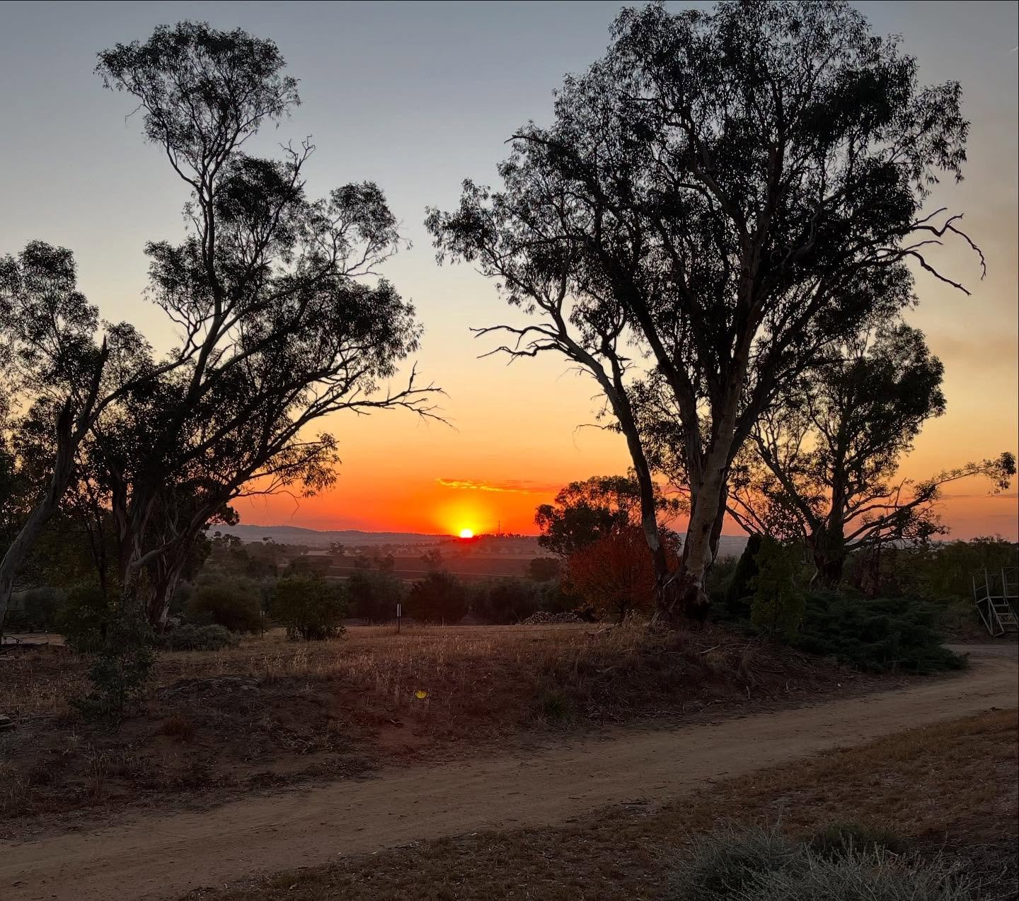 Beautiful sunset at Wollundry Grove ❤️