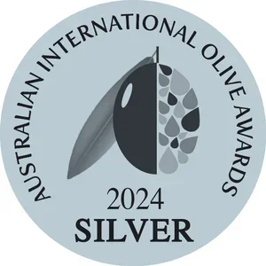 A.I.O.A+2024+SILVER+hi+res+(002).webp