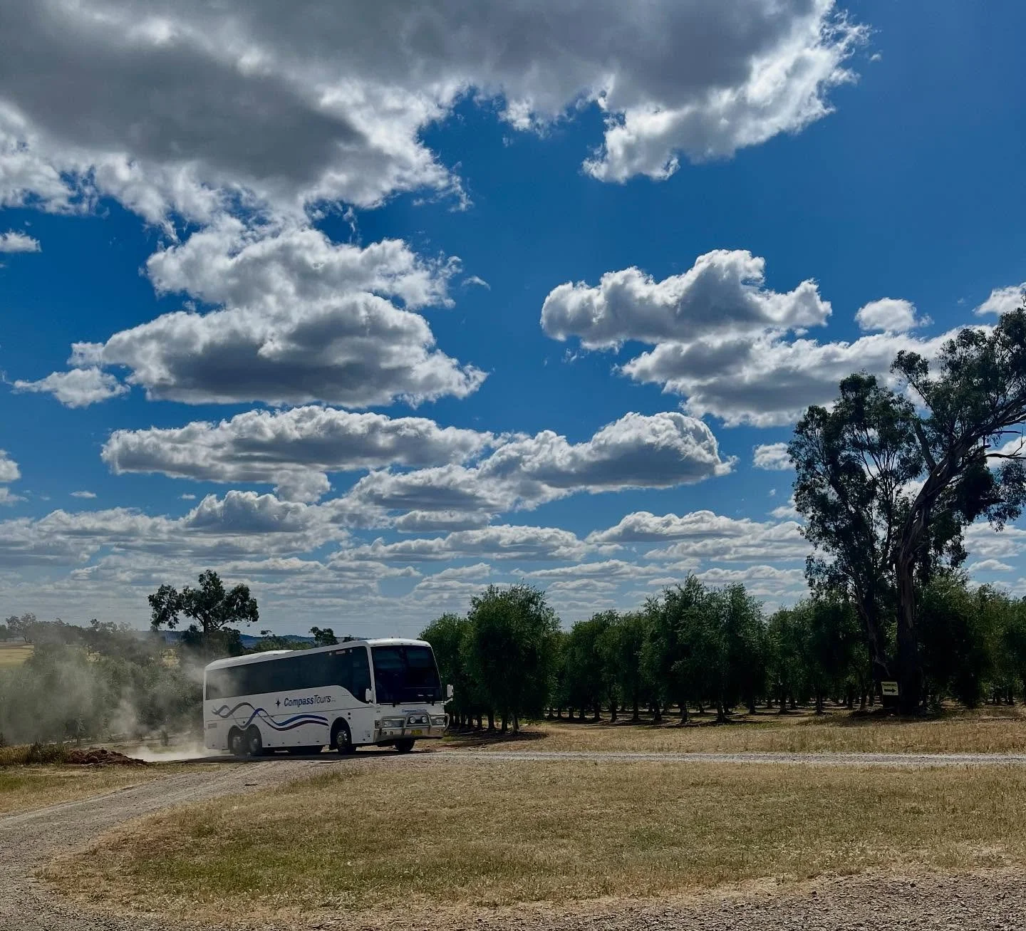 Here comes our visitors. 
Inner Wheel Club from Hawksbury, NSW.
Thank you @compasstours.buscompany  for having Wollundry Grove on your itinerary 😊