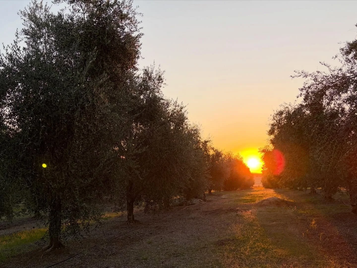 &hellip; And so, the sun sets on the last day of Daylight Saving ❤️