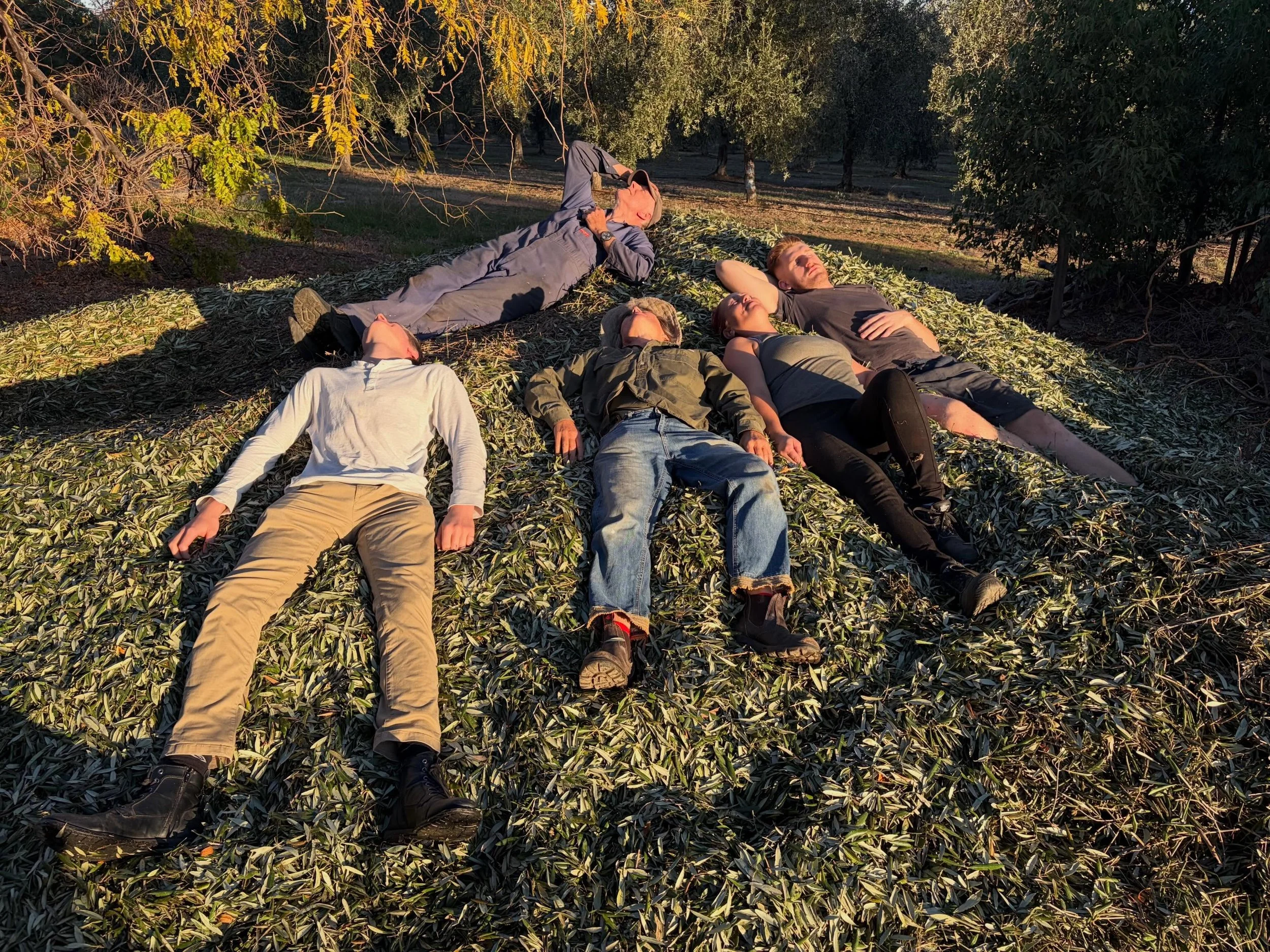 Ahhhhh&hellip;. Harvest 2026 done and dusted 😌