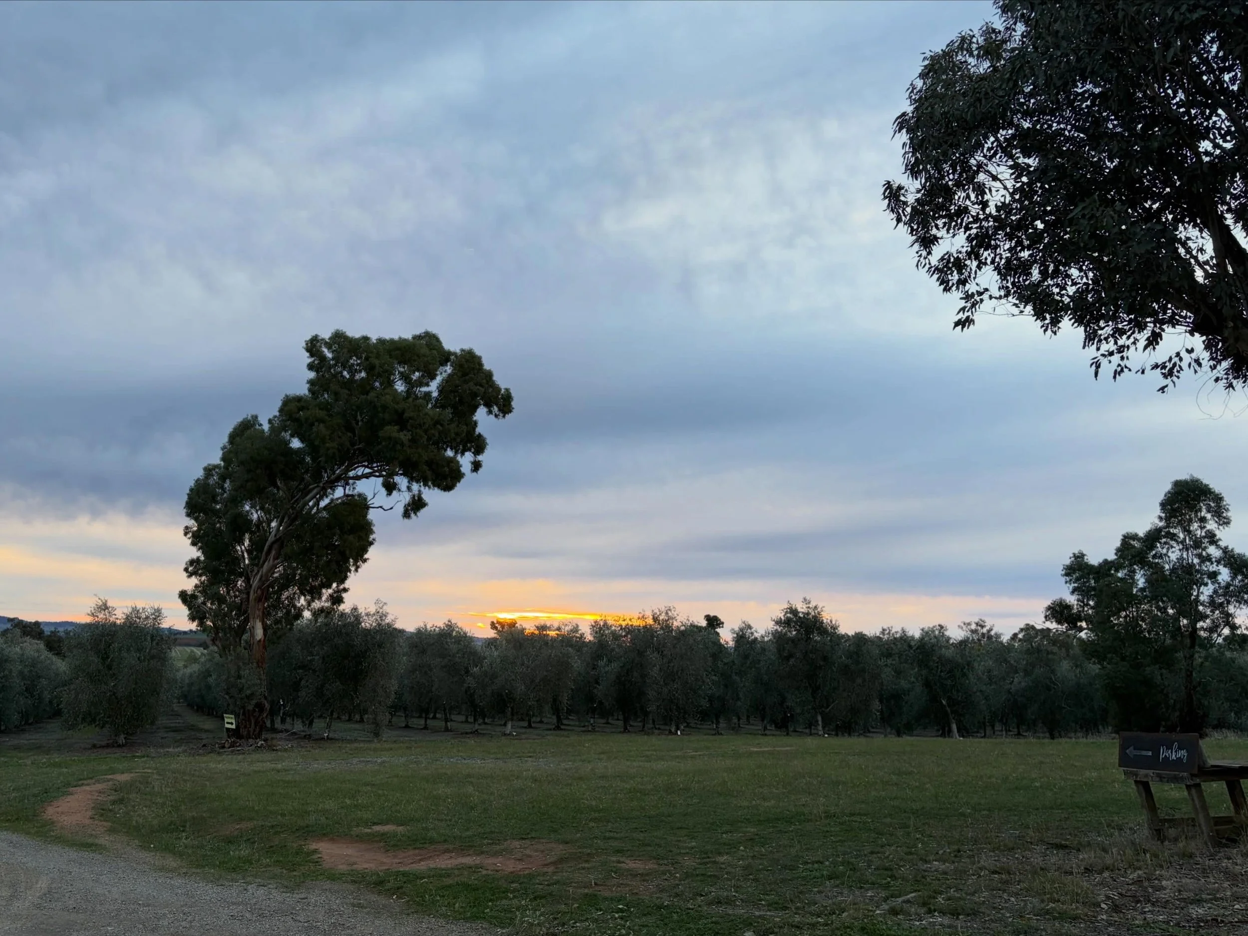 A collections of beautiful open sky and sun sets at Wollundry Grove.