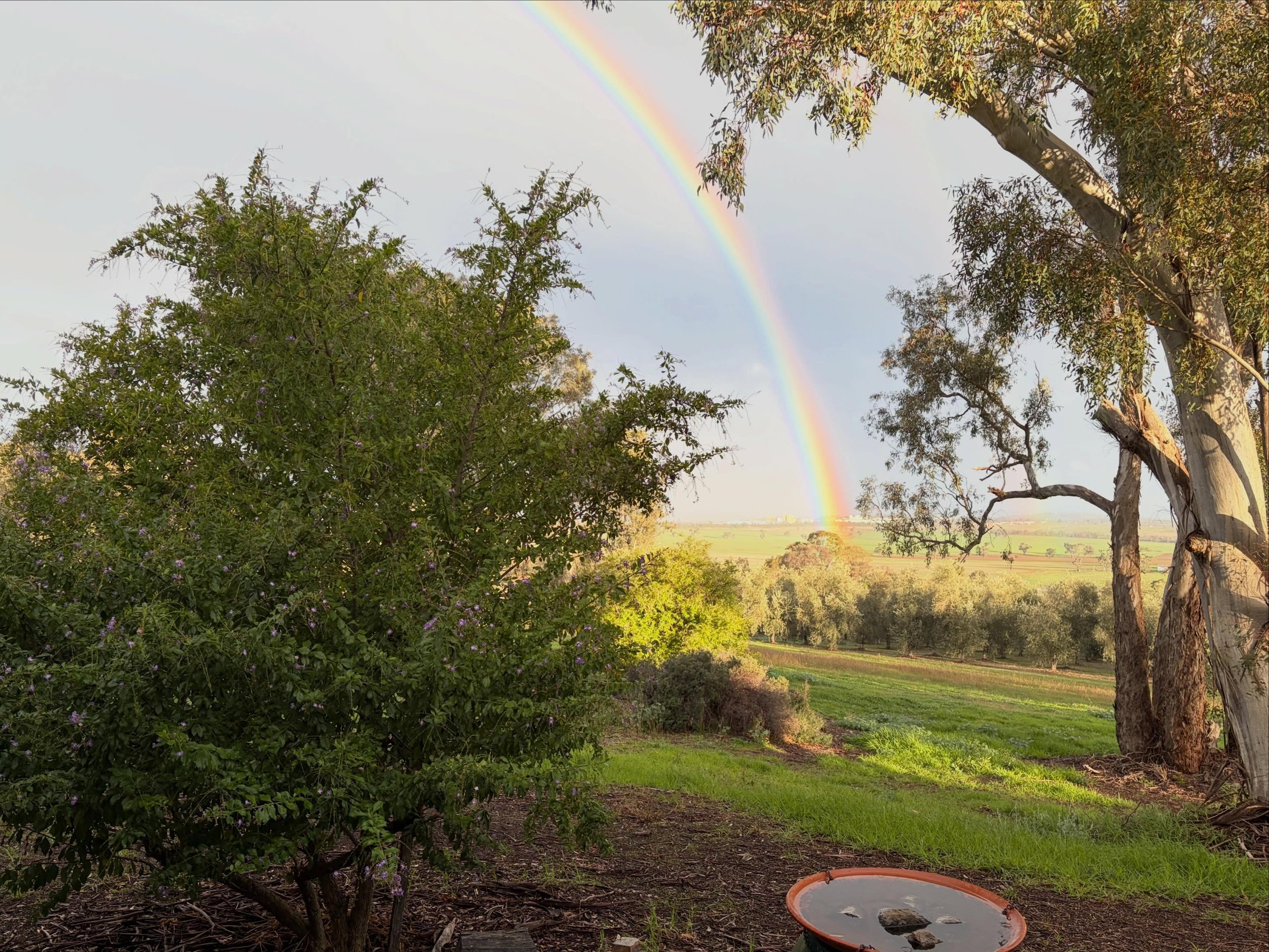 Capturing the bright and vivid rainbow from our kitchen window.
What a beautiful sight 😍🌈