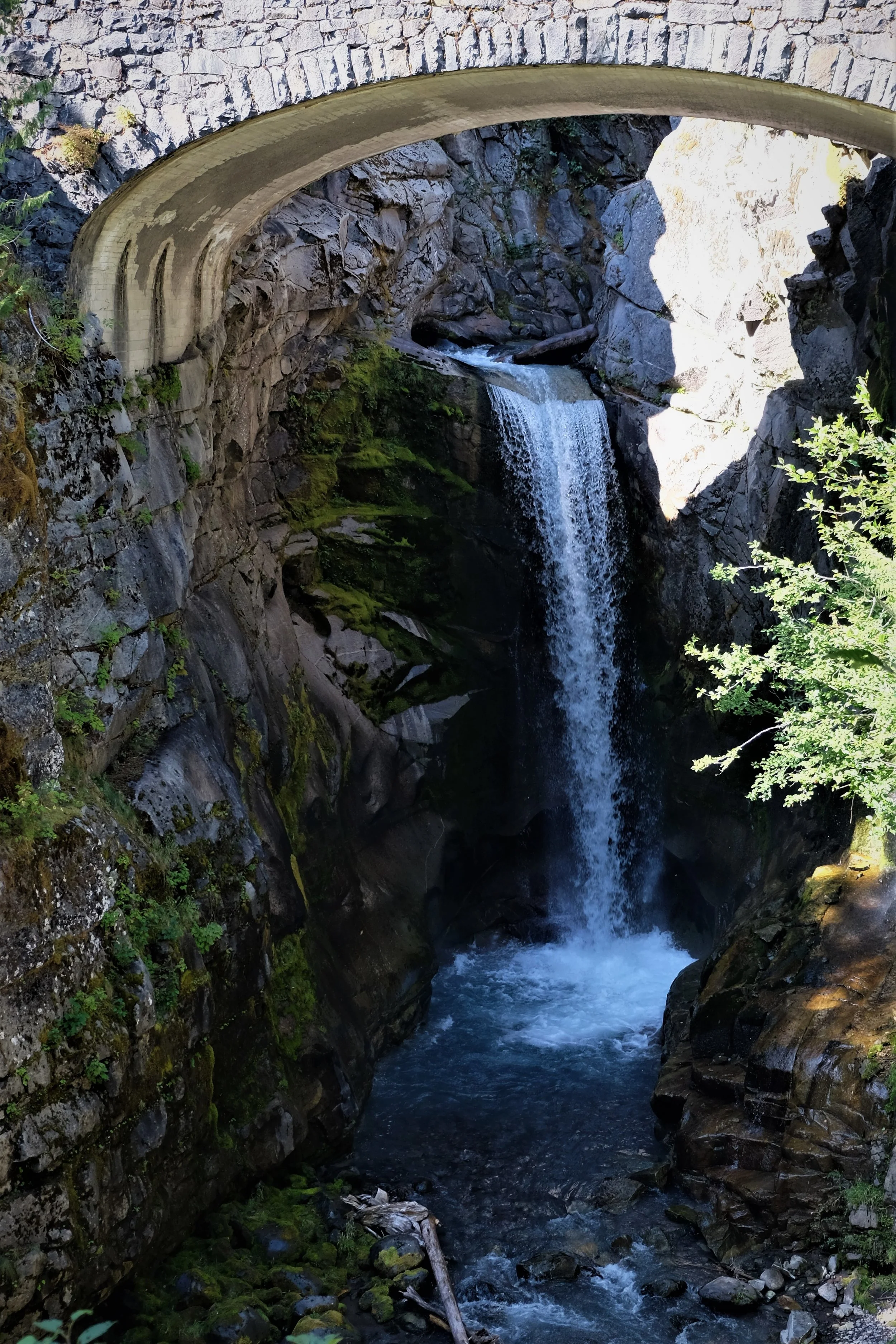 DSCF1648.jpg