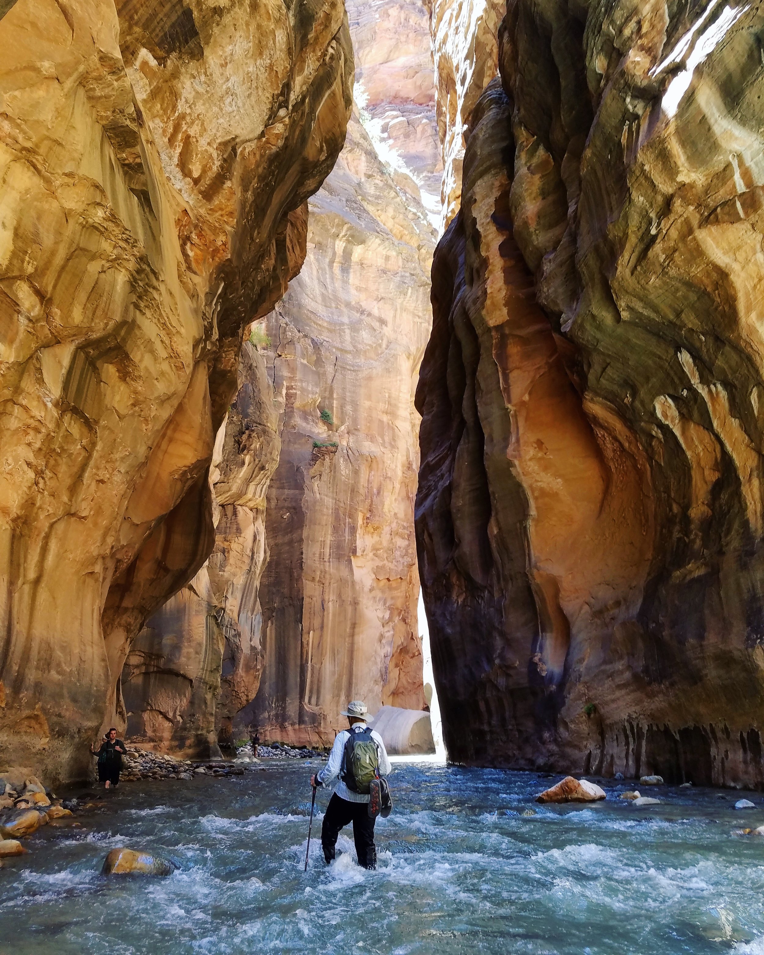 Experience Hiking The Narrows in Zion Nat'l Park