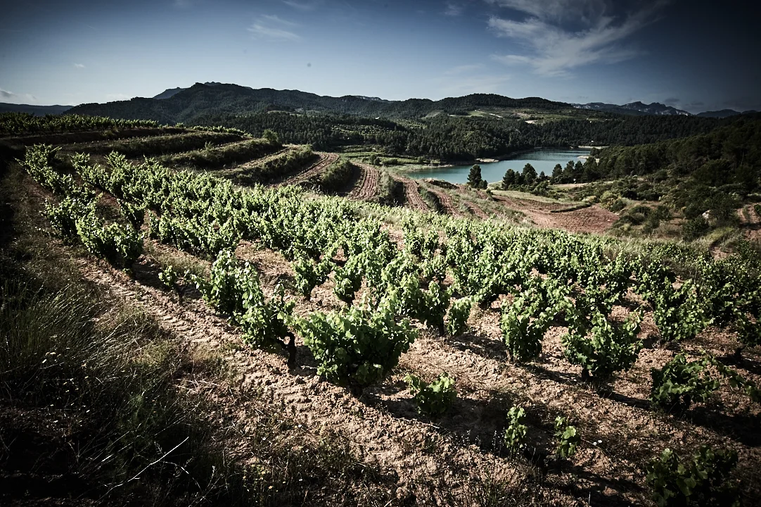 costers-del gravet.jpg