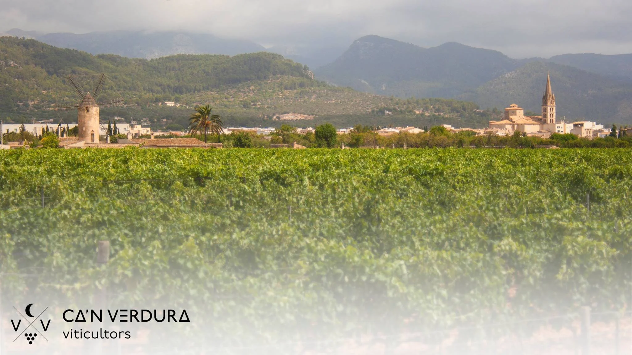 verdura 001.jpg